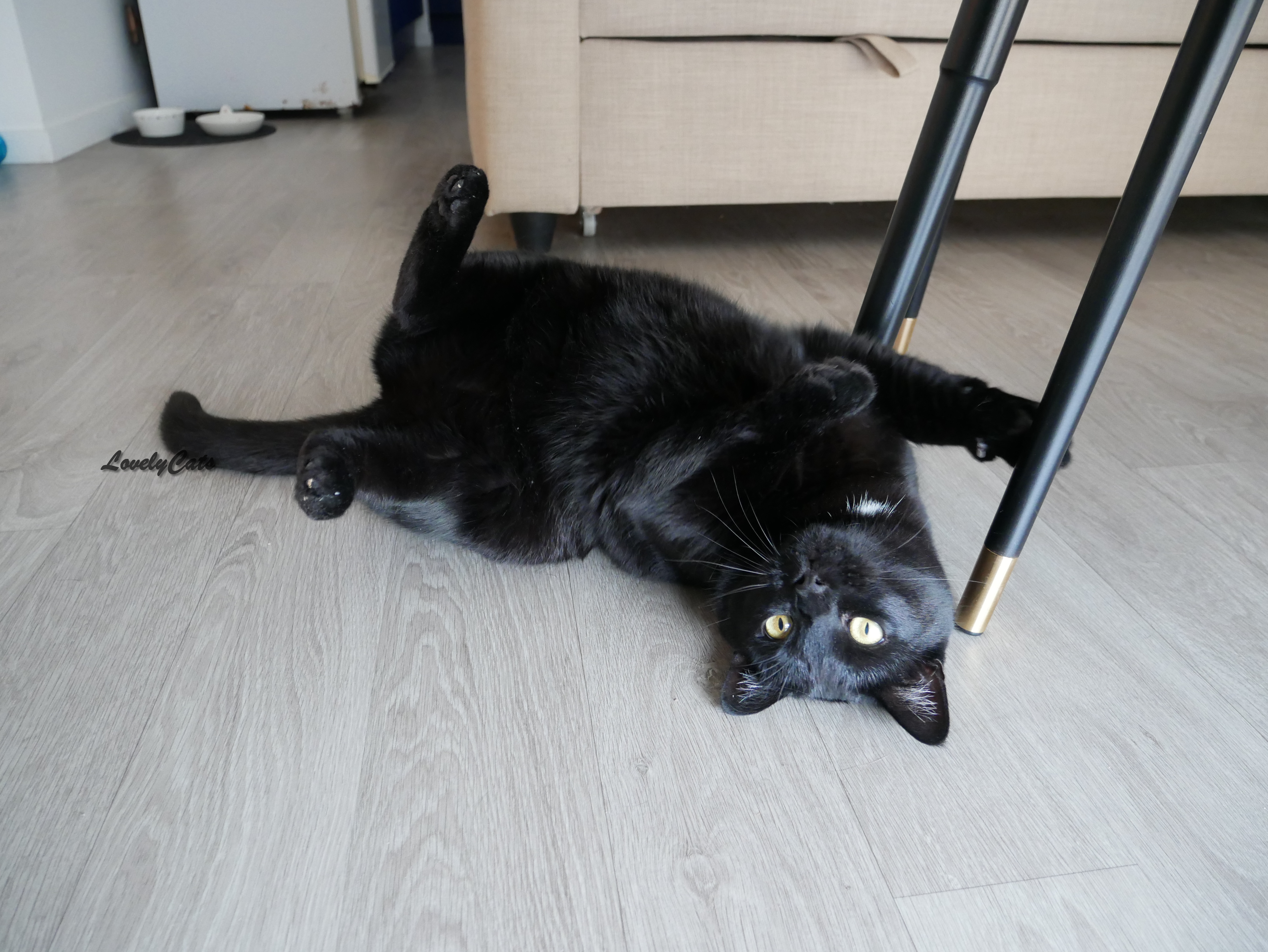 Luna, 4 ans