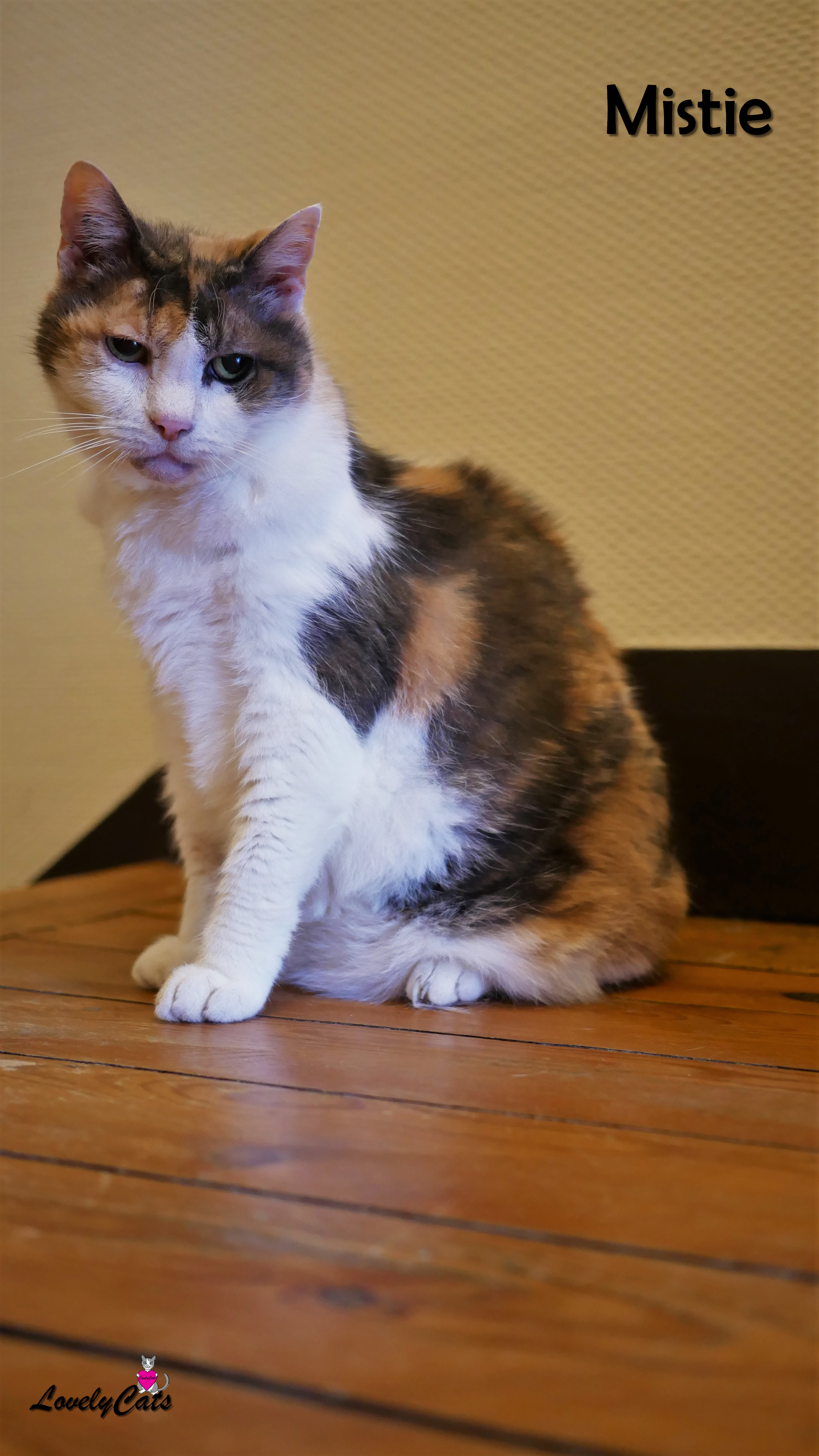Mistie