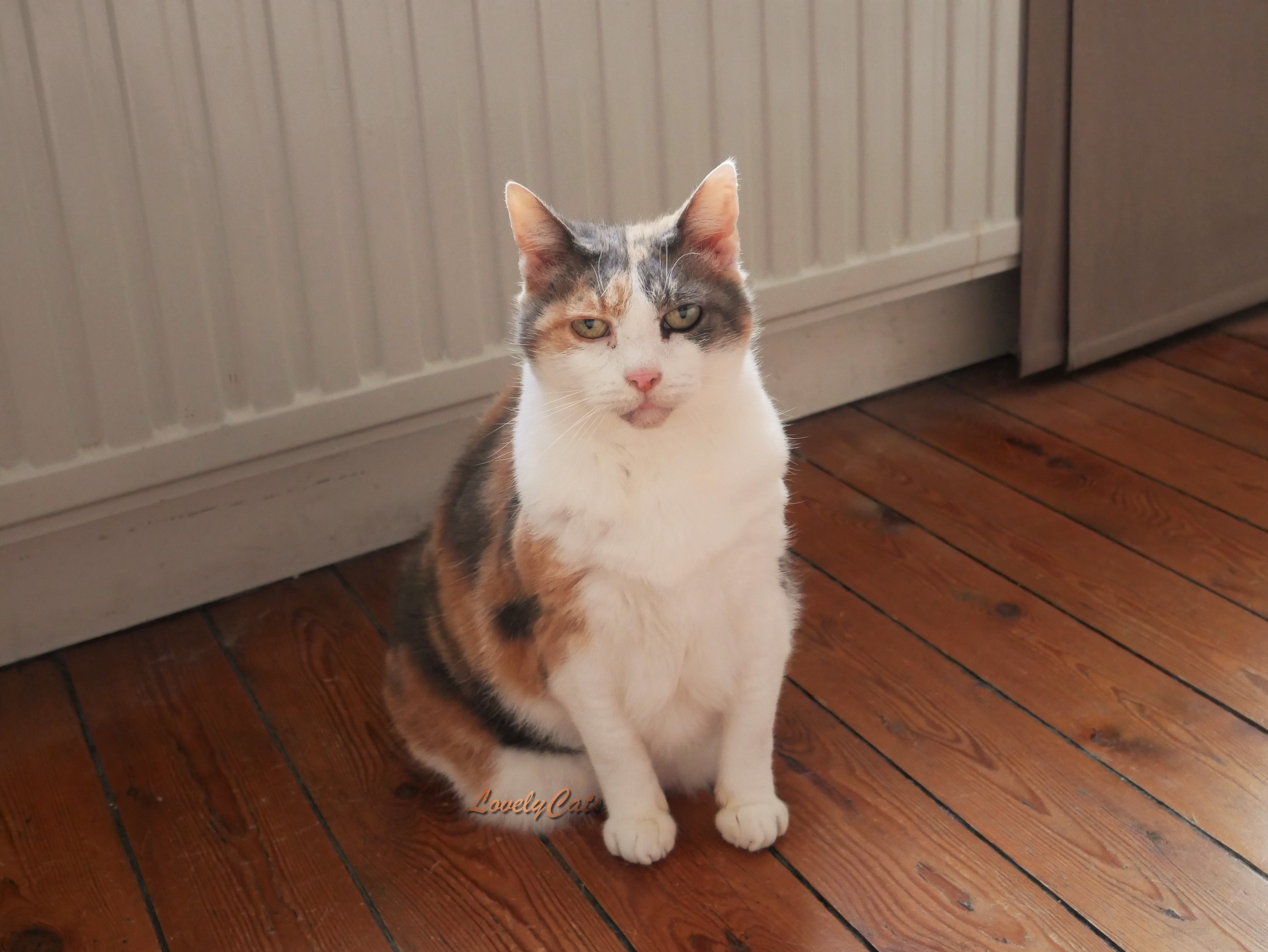 Mistie, 16 ans