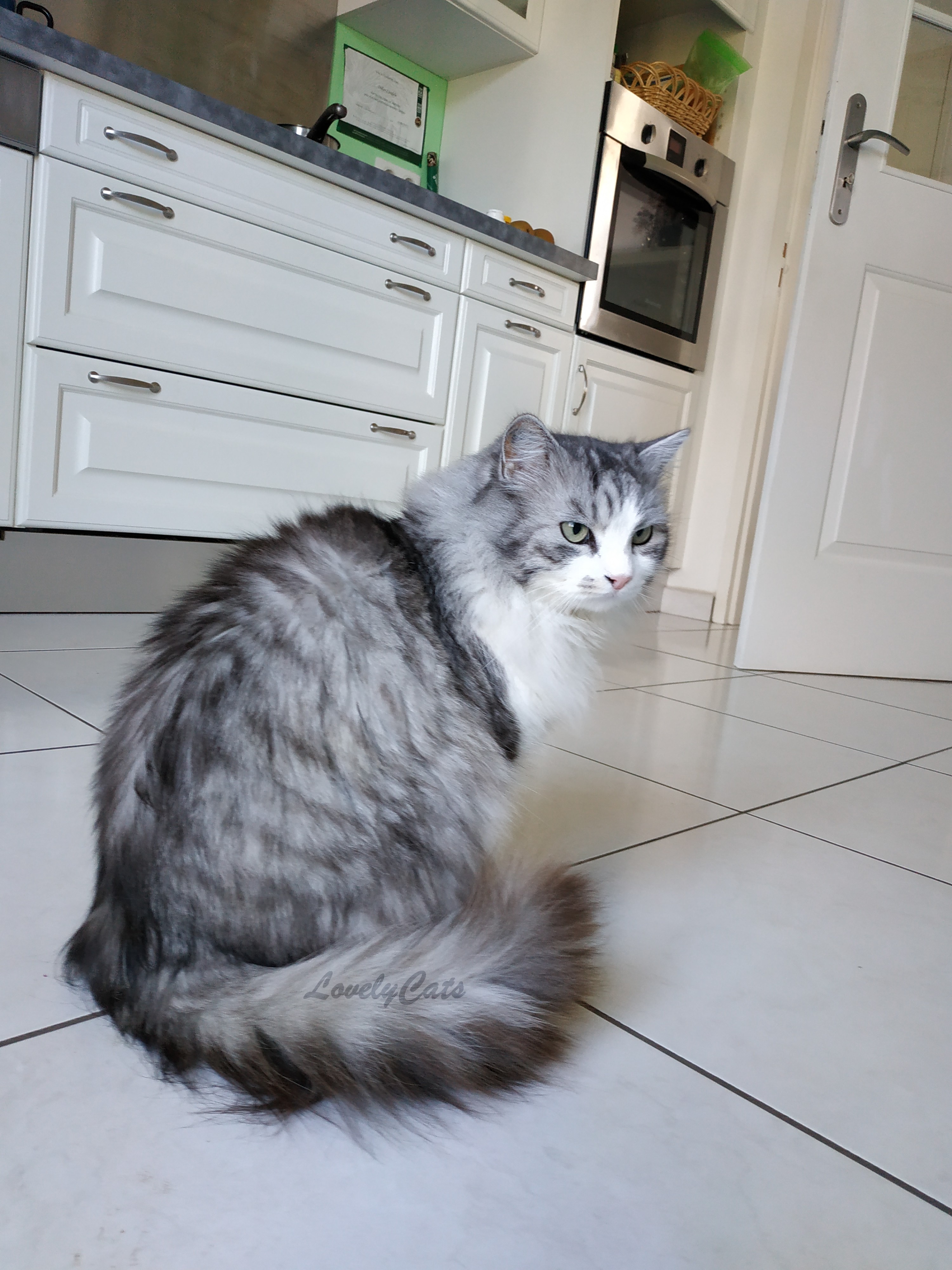 Esquimau, 7 ans