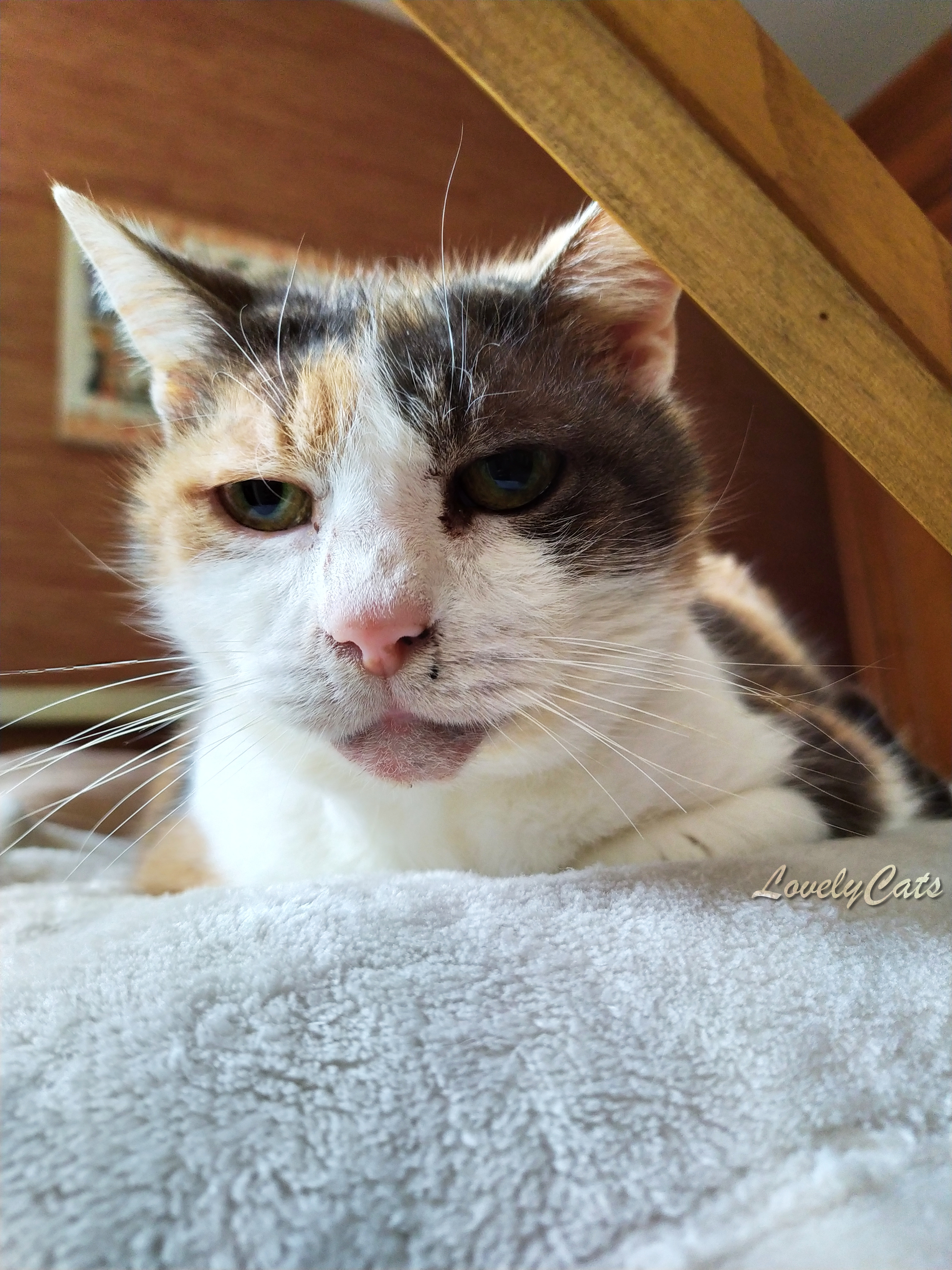 Mistie, 16 ans
