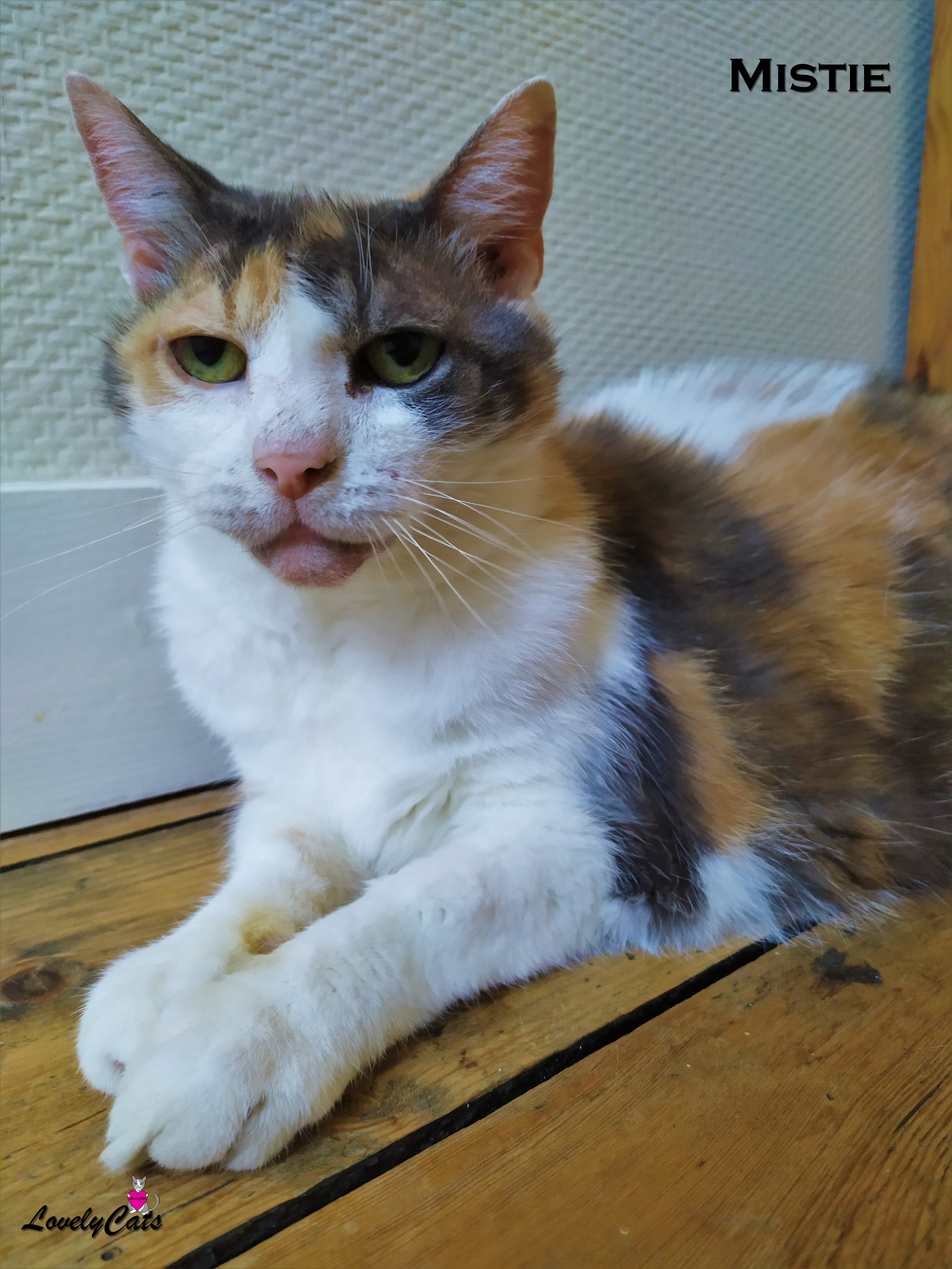 Mistie