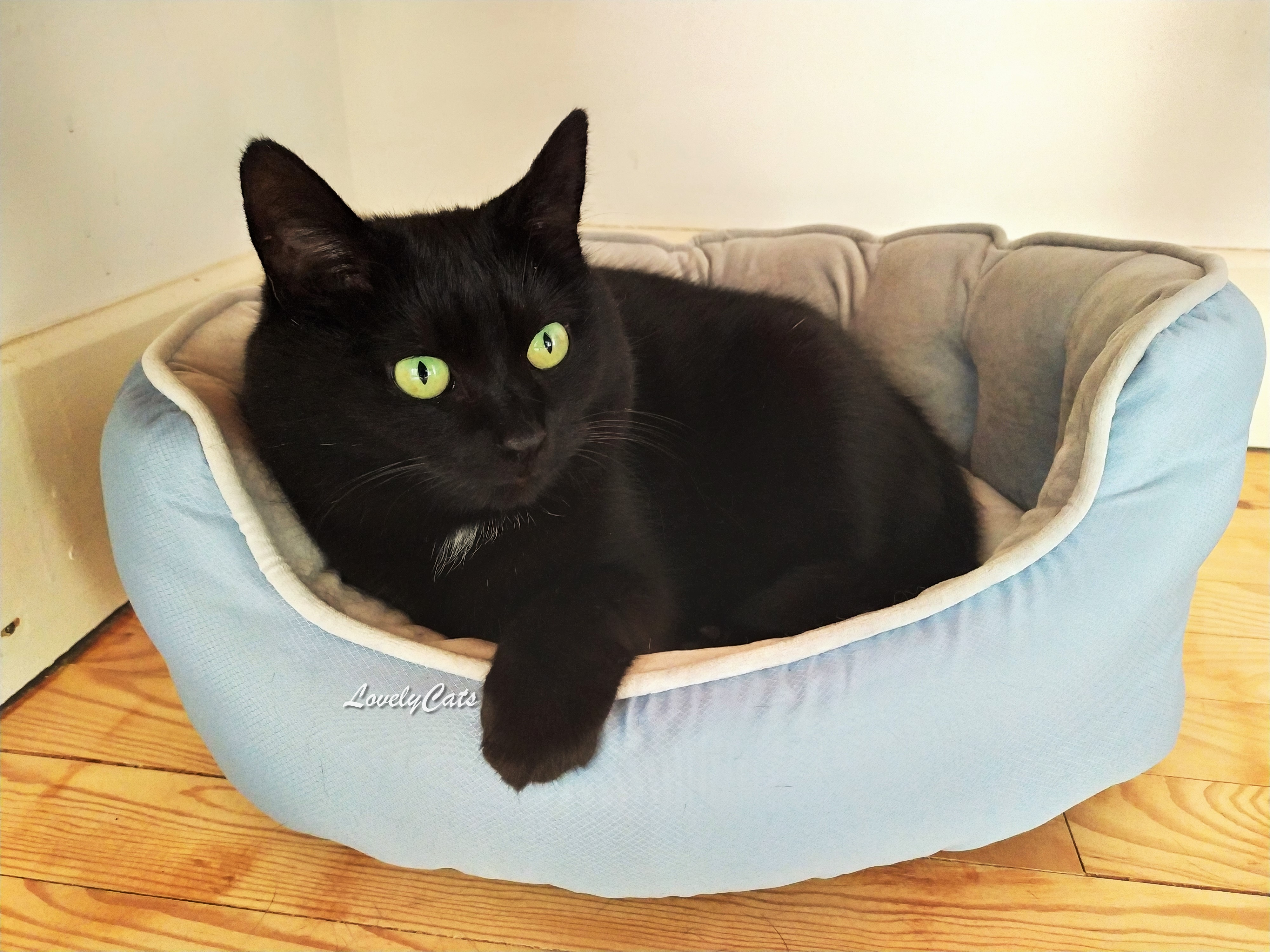 Gypsie, 5 ans