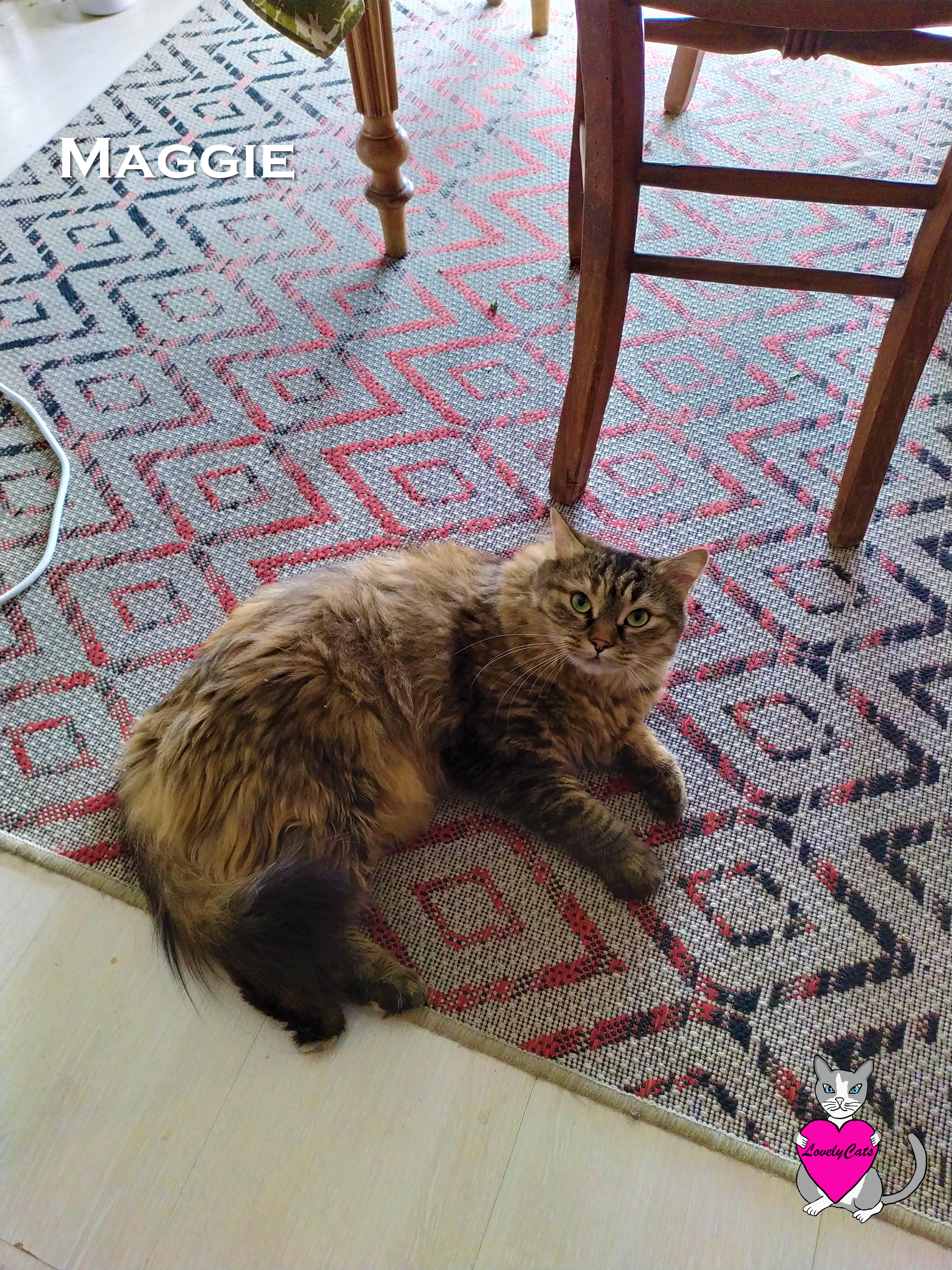 Maggie