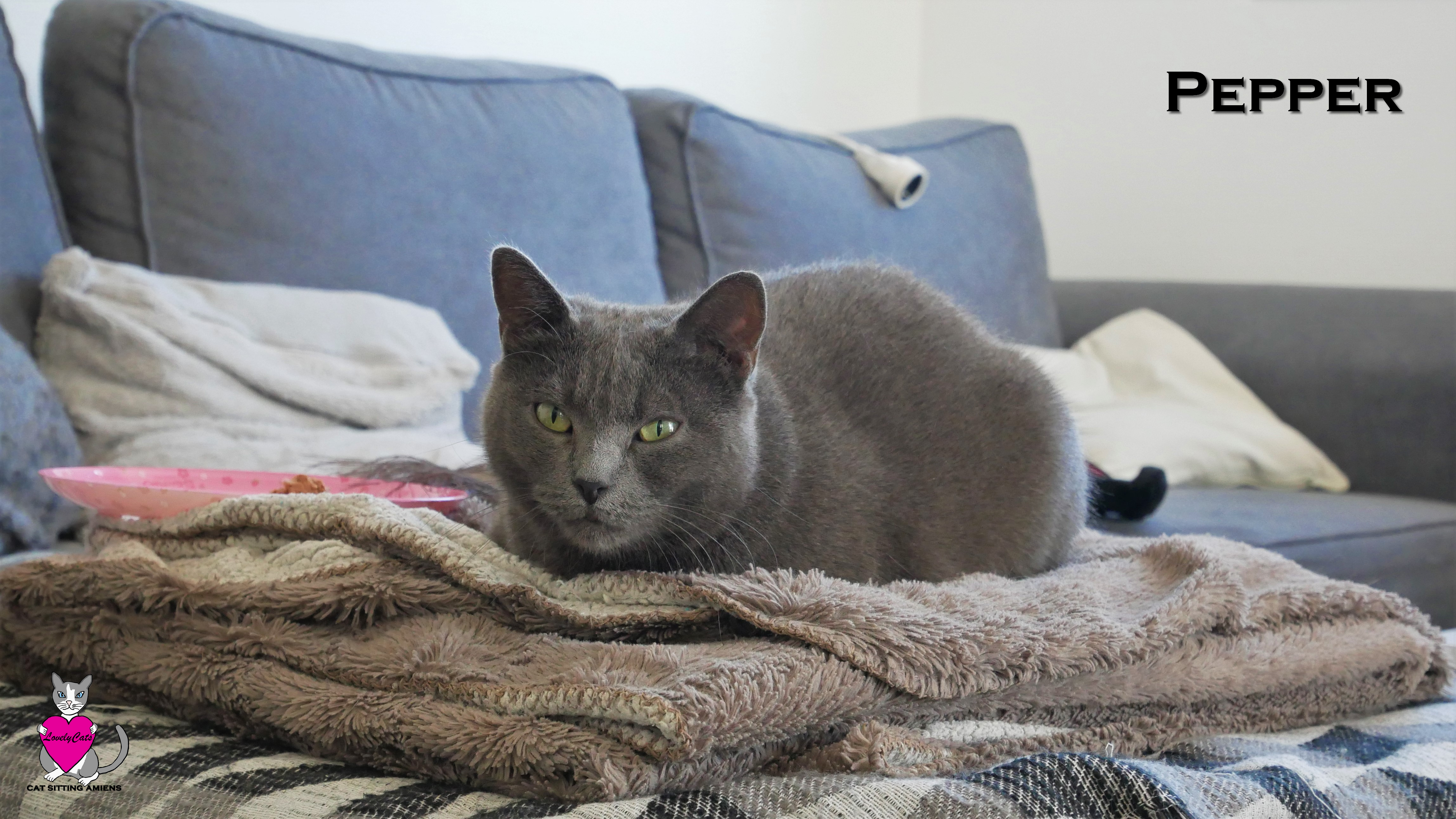 Pepper