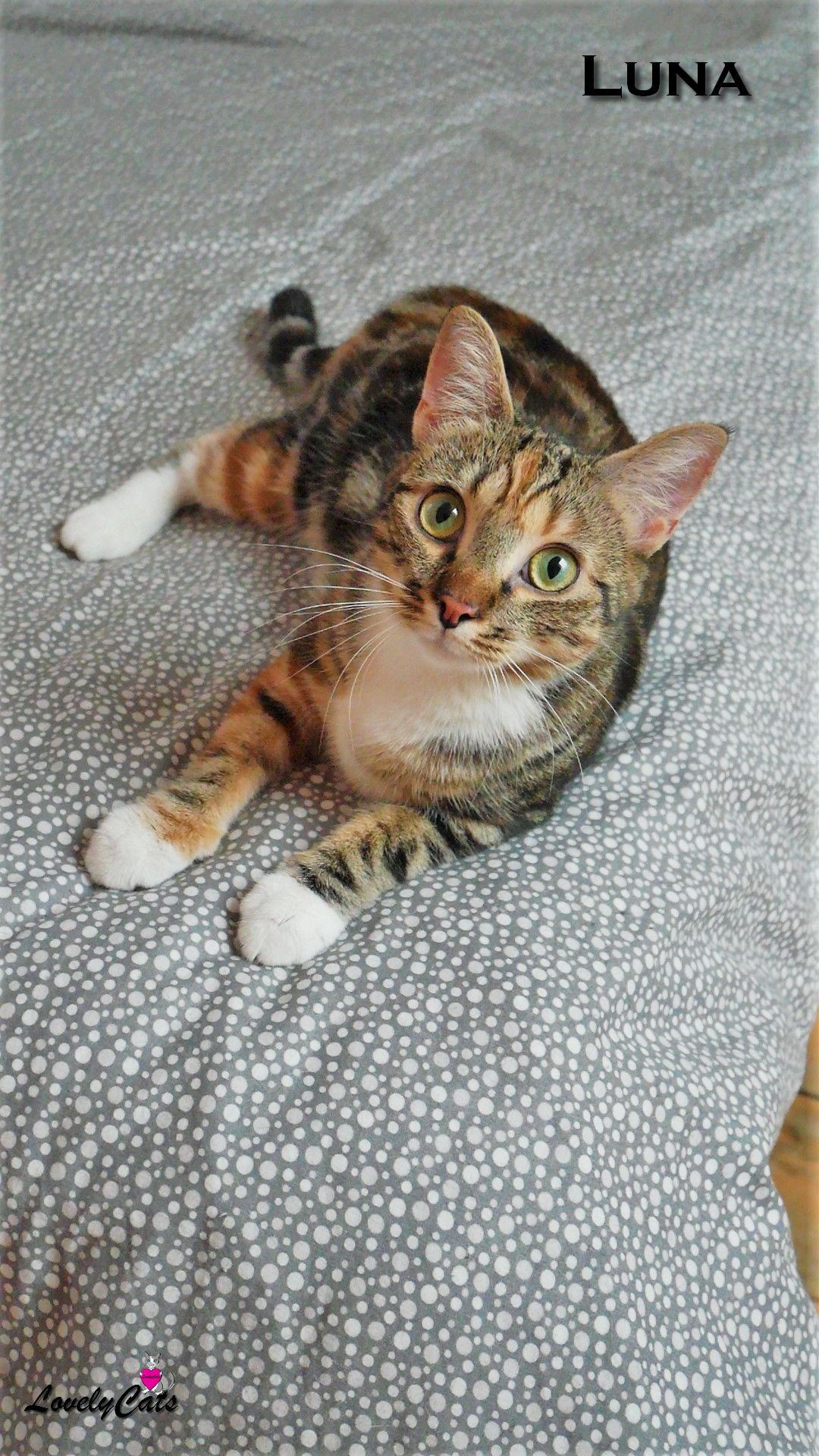 Luna