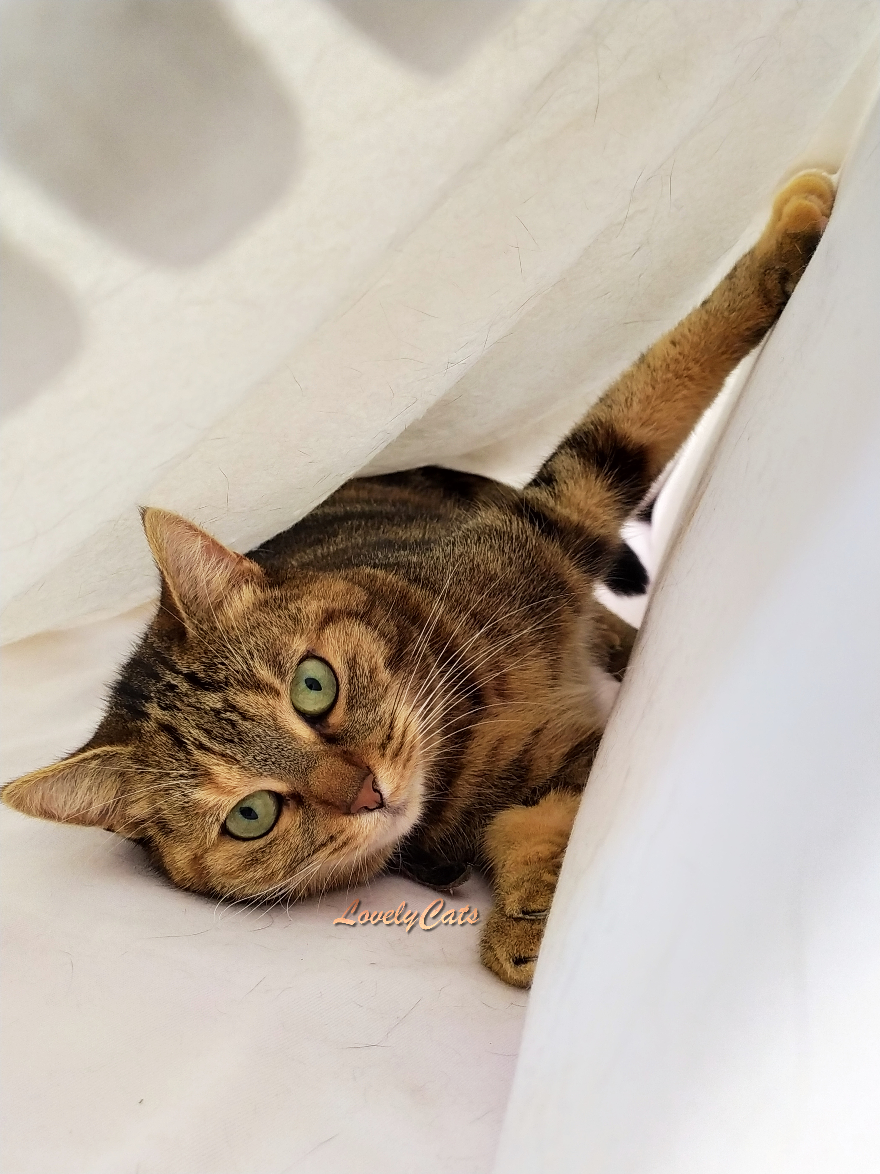 Leïa, 5 ans