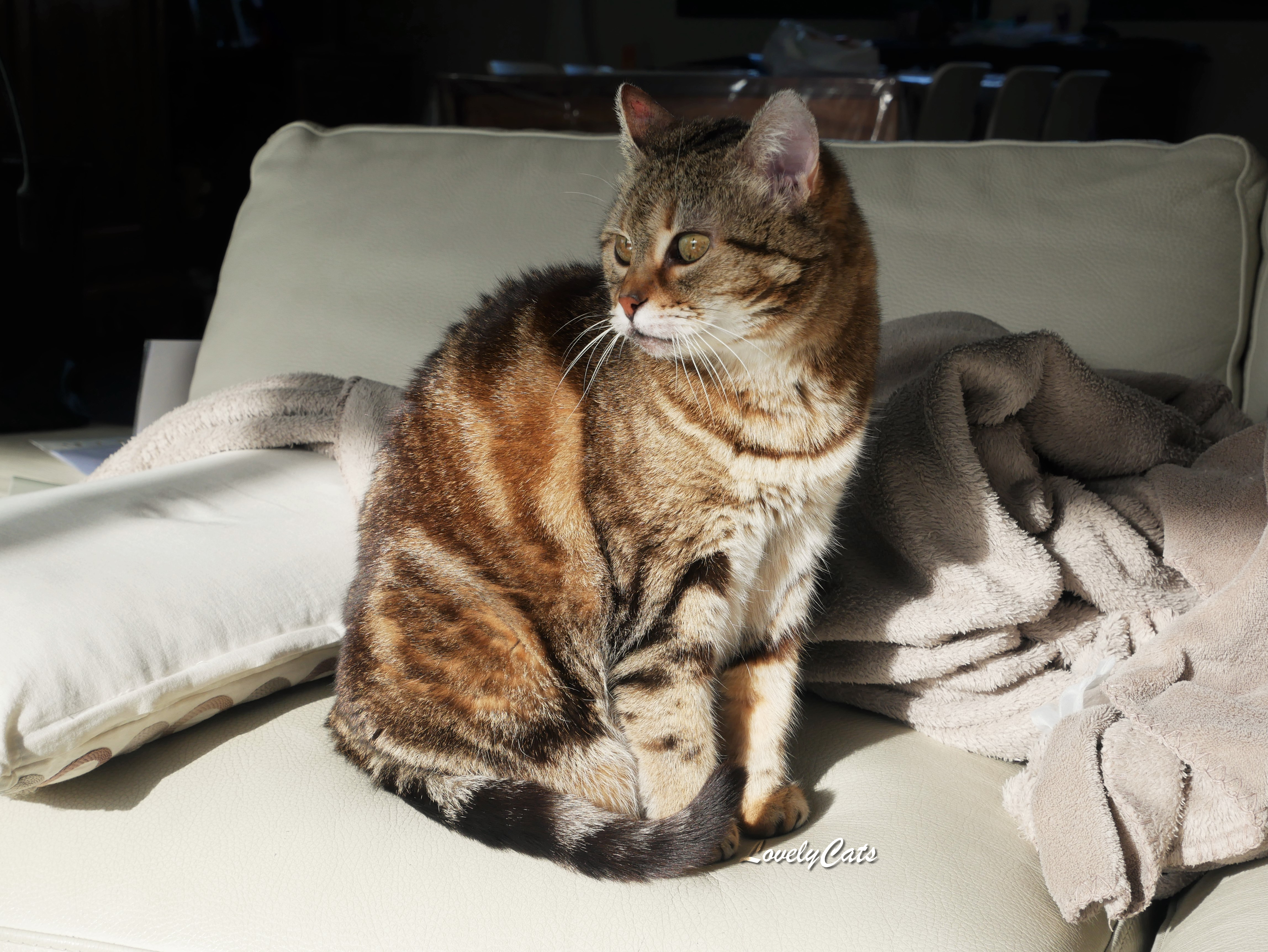 Noisette, 14 ans