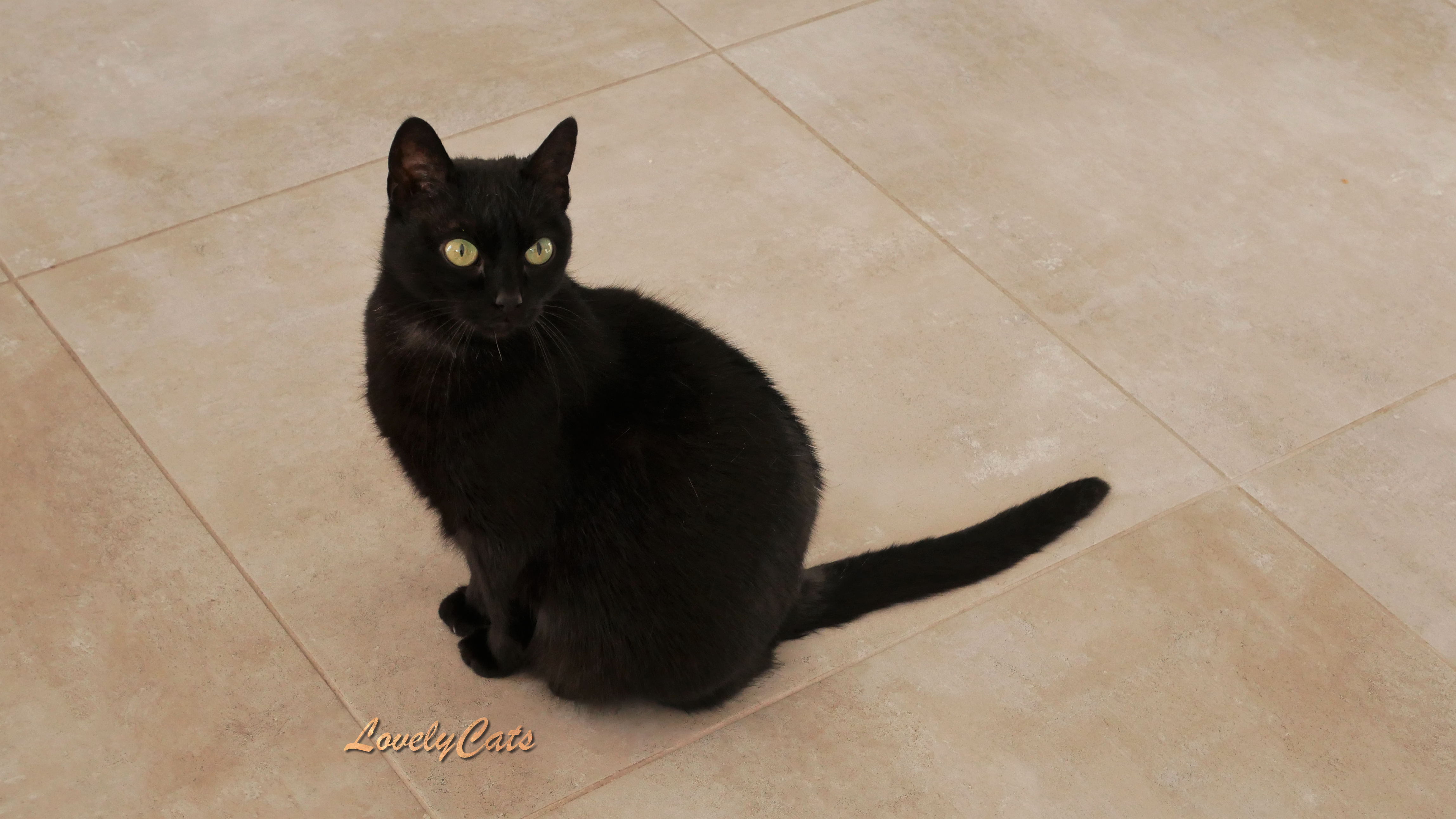 Lily, 10 ans