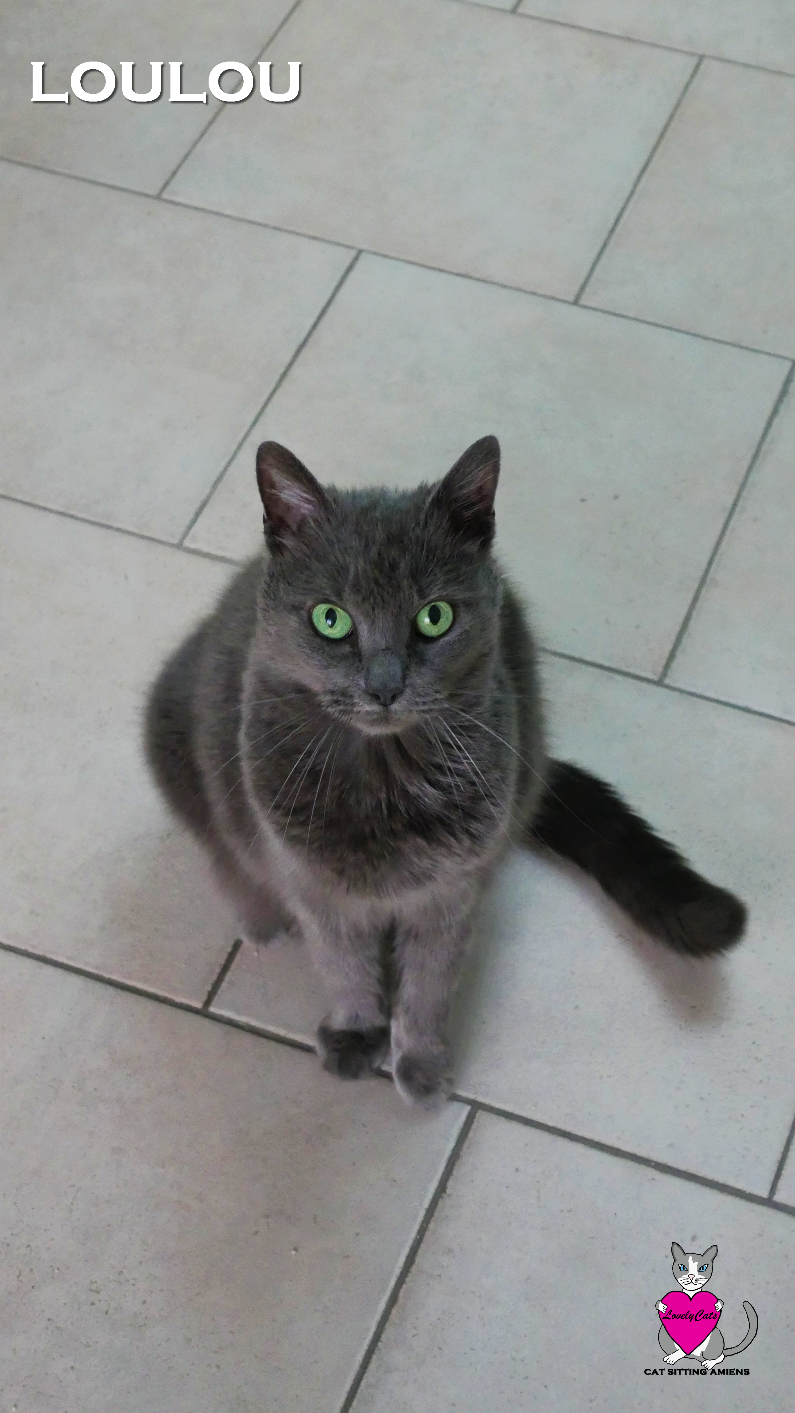 Loulou