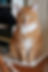 (052) Roucky_sitefili_edited.jpg