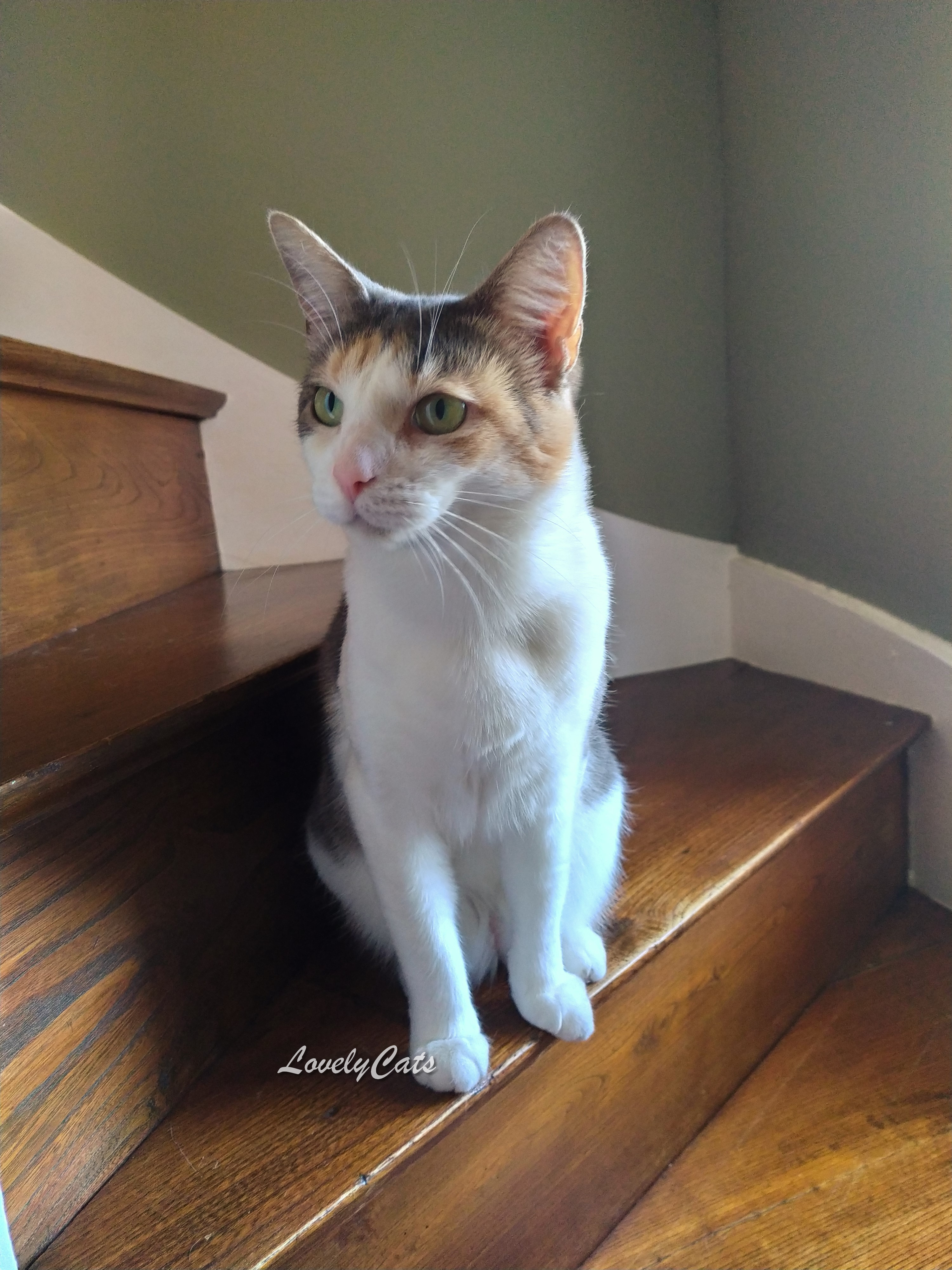 Holly, 5 ans