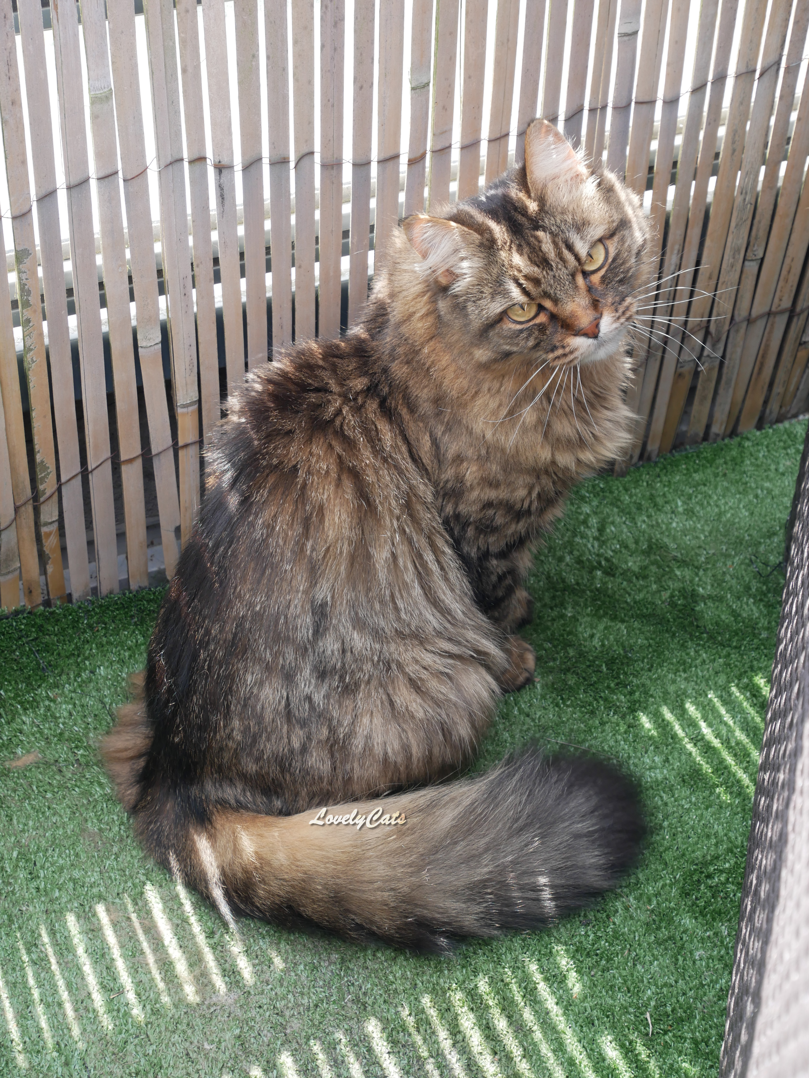 Louna, 8 ans