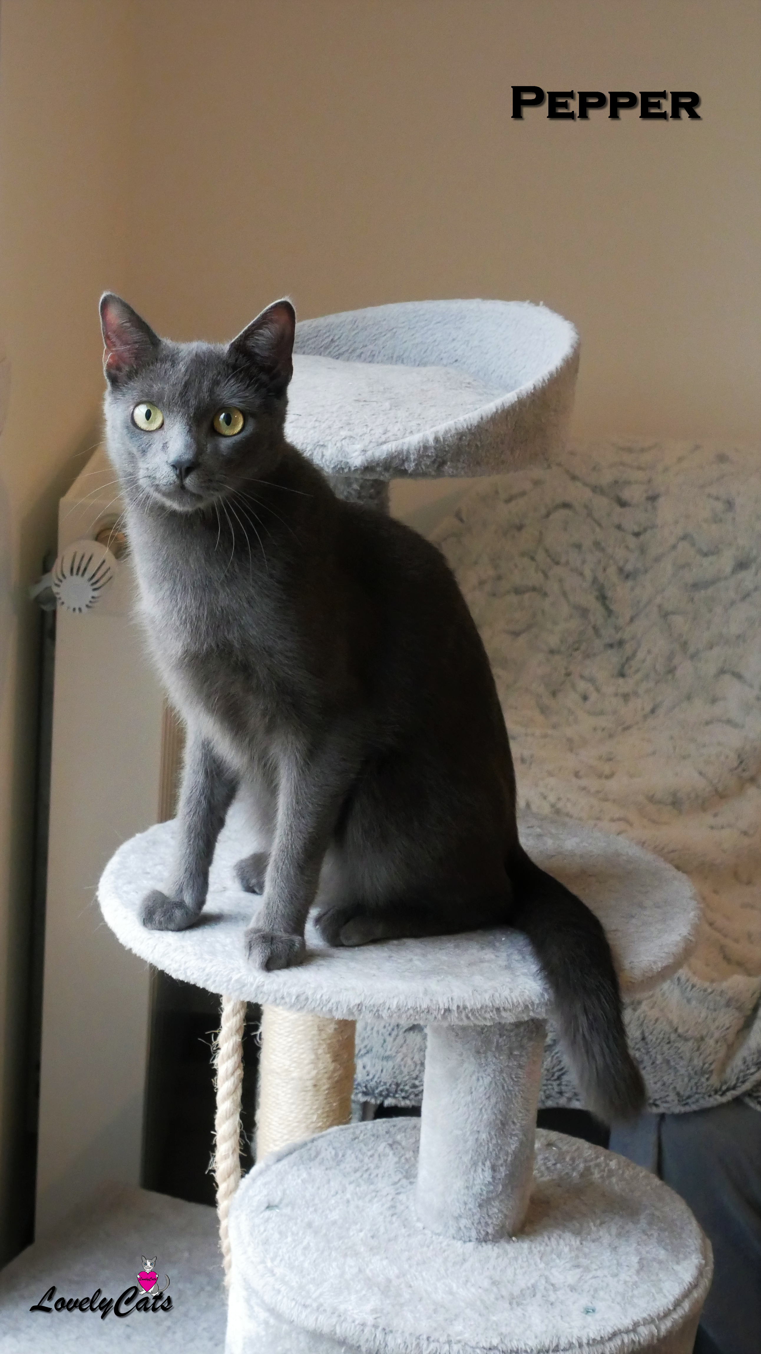 Pepper