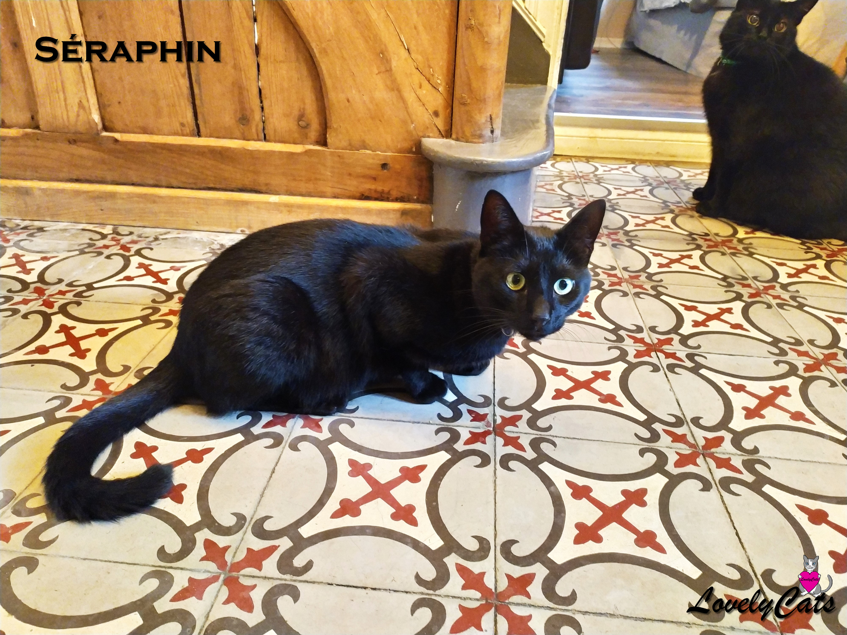 Séraphin