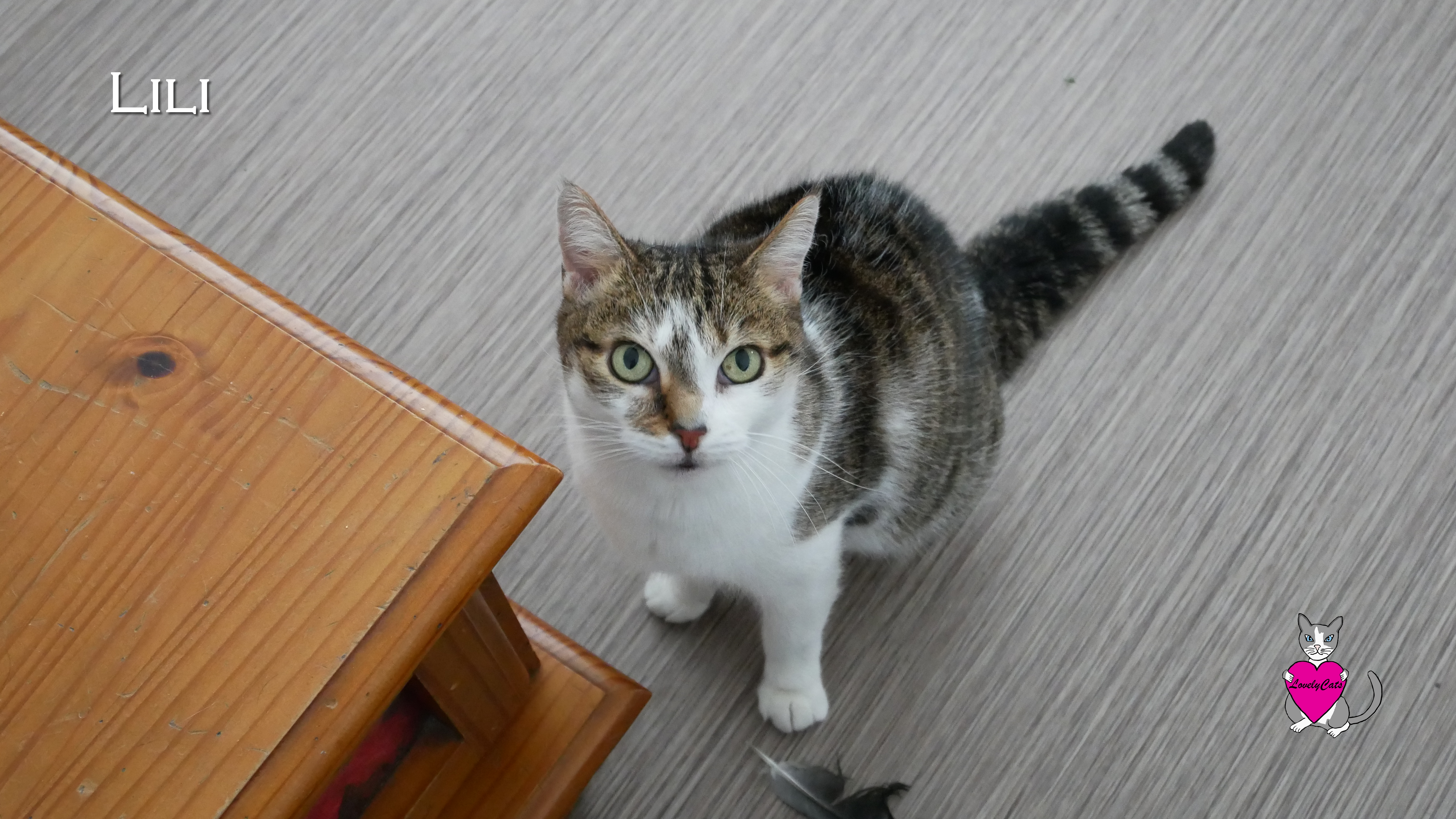 Lili