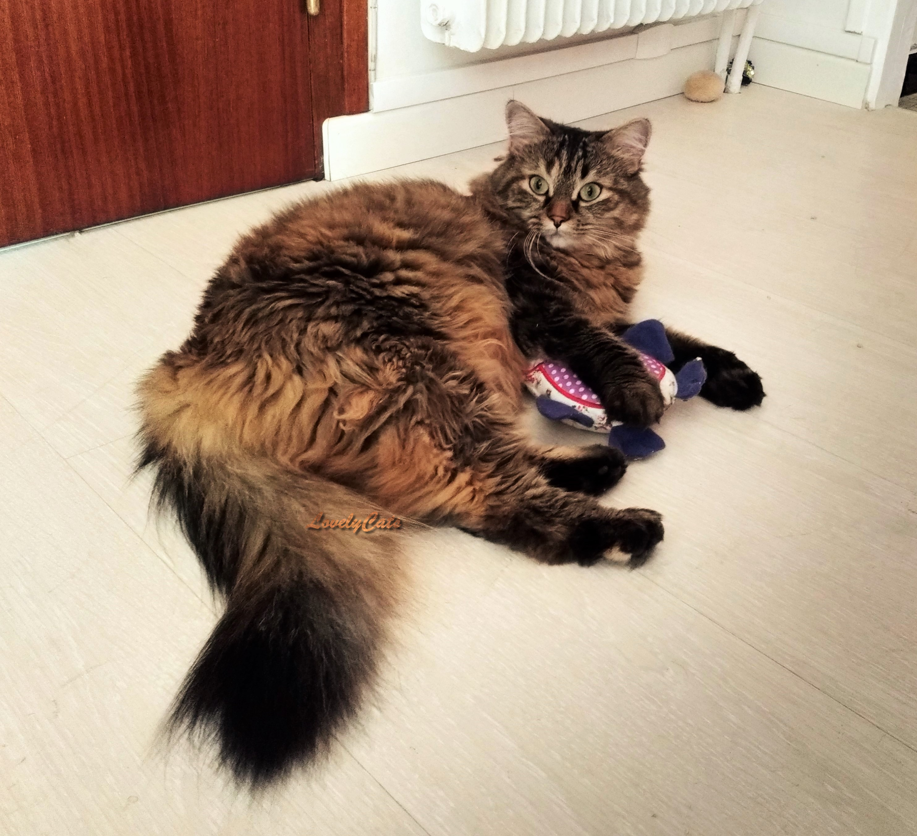 Maggie, 2 ans