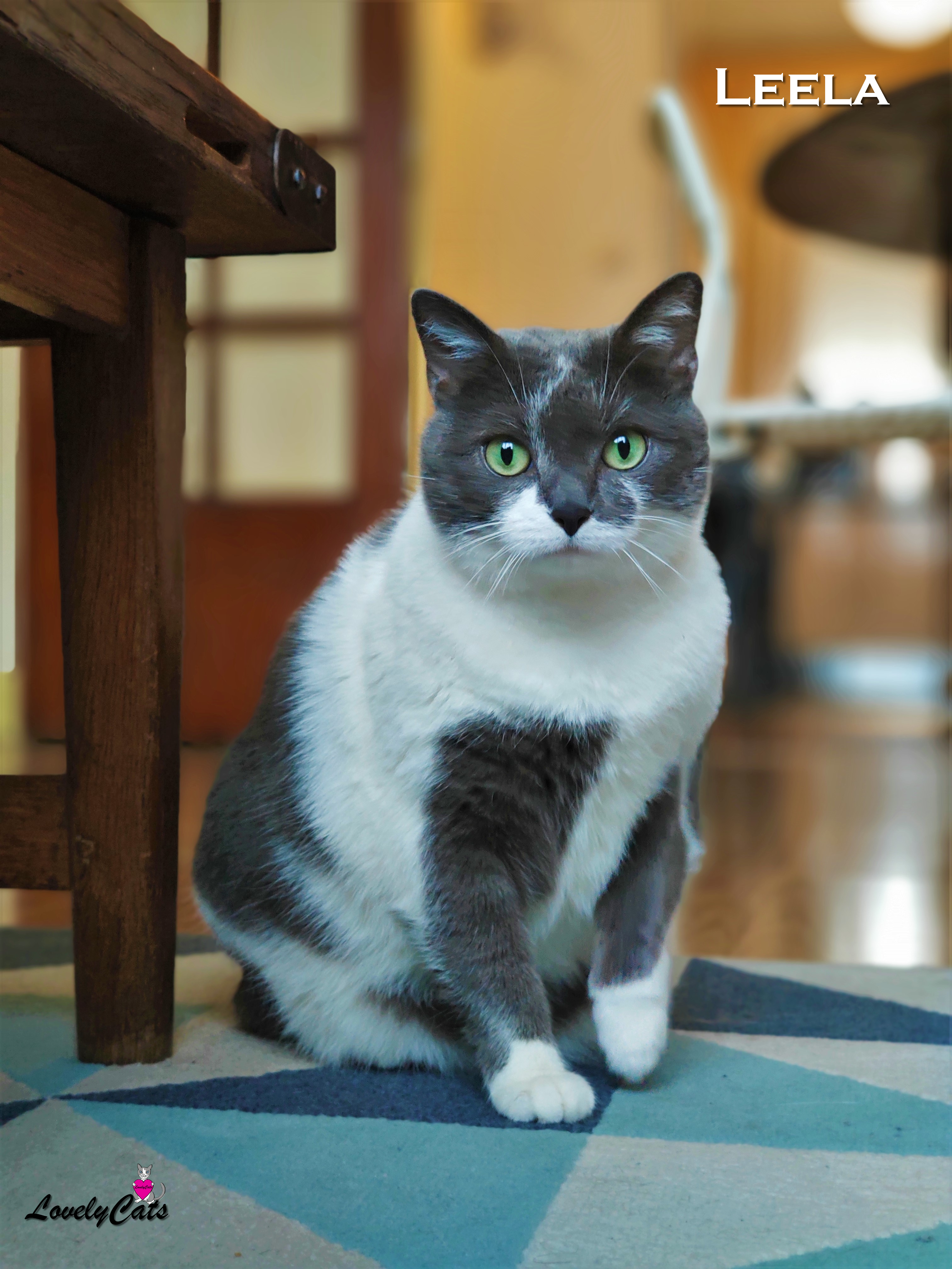 Leela