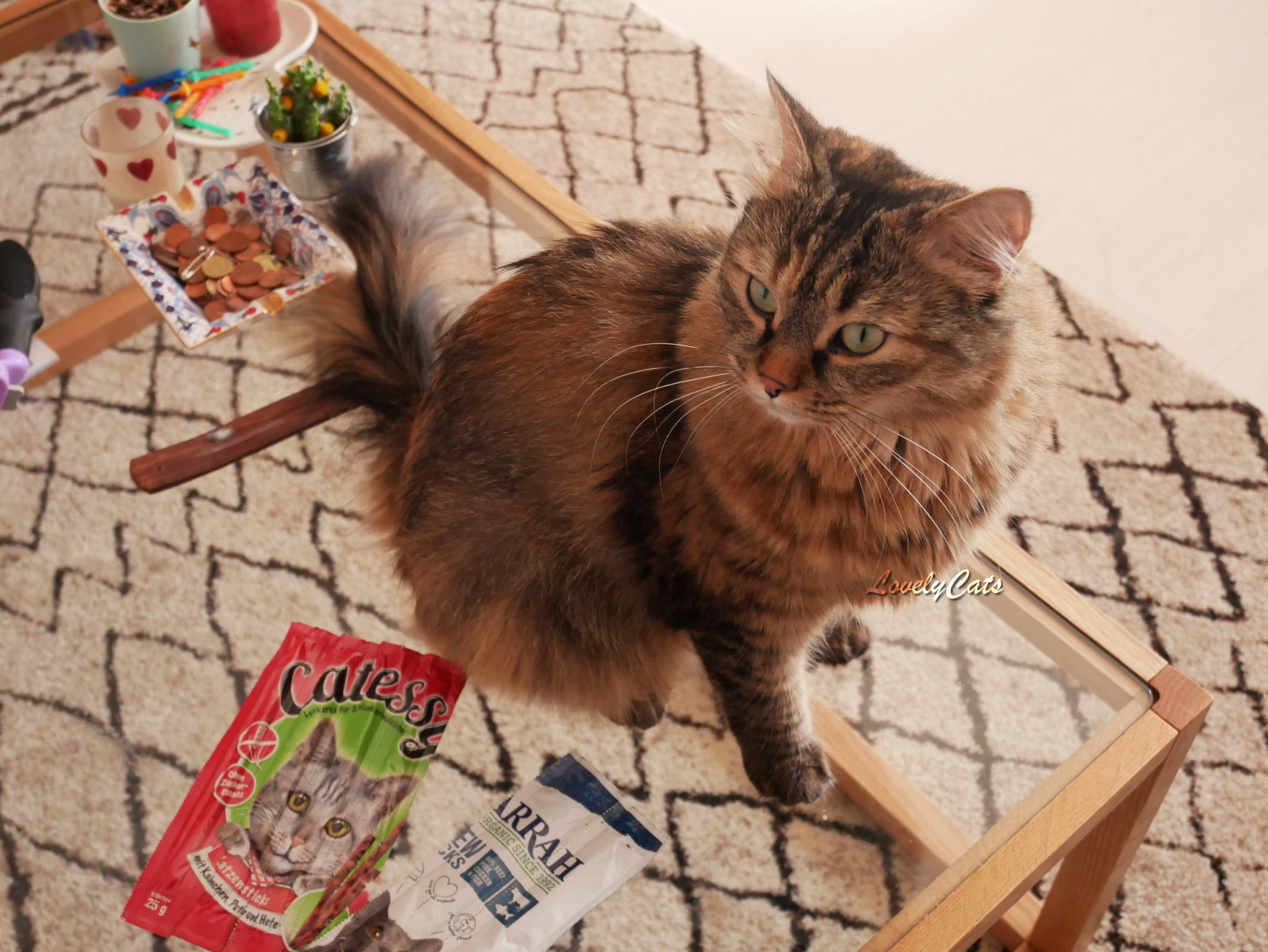 Maggie, 2 ans