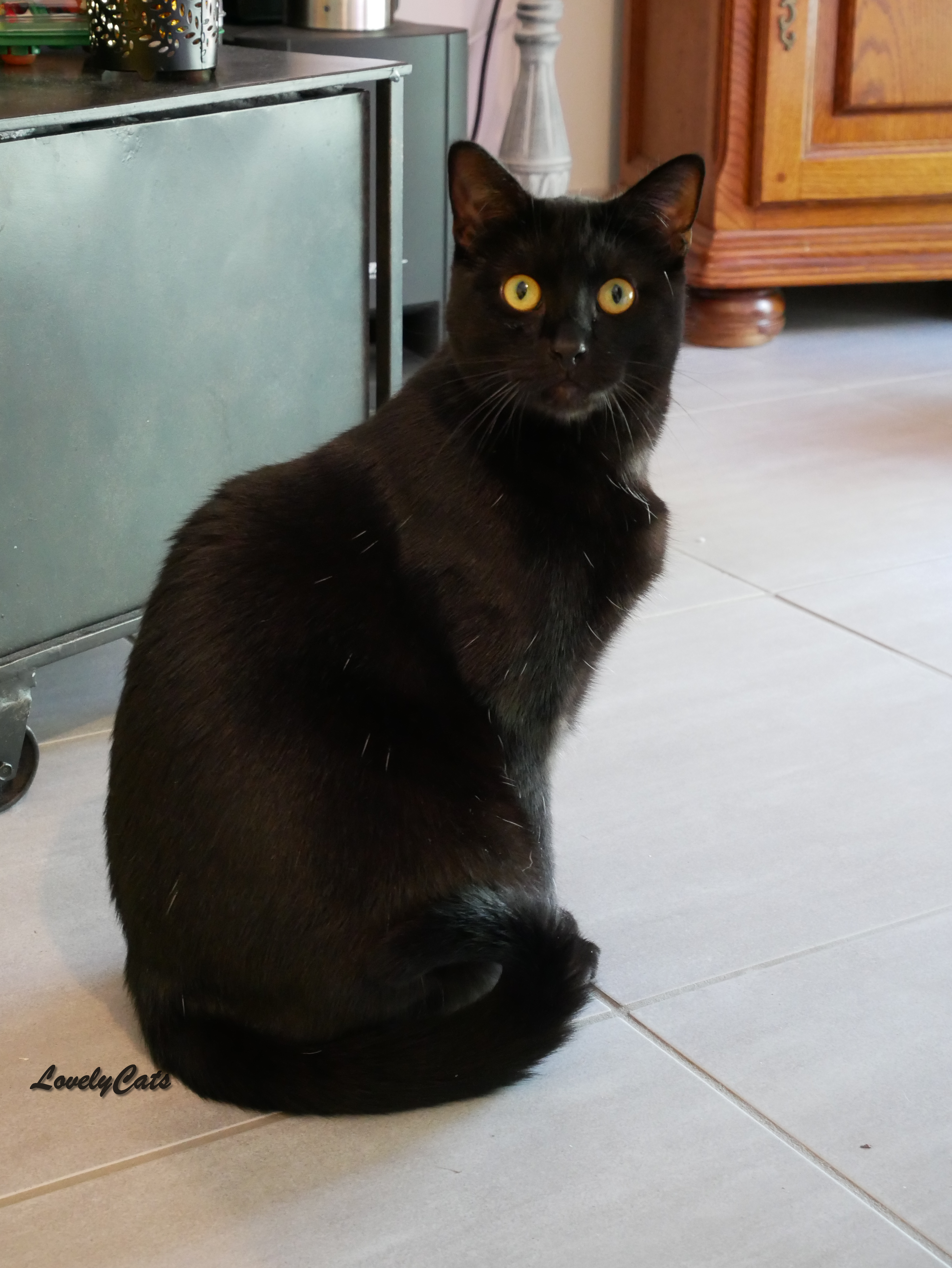 Berly, 1 an