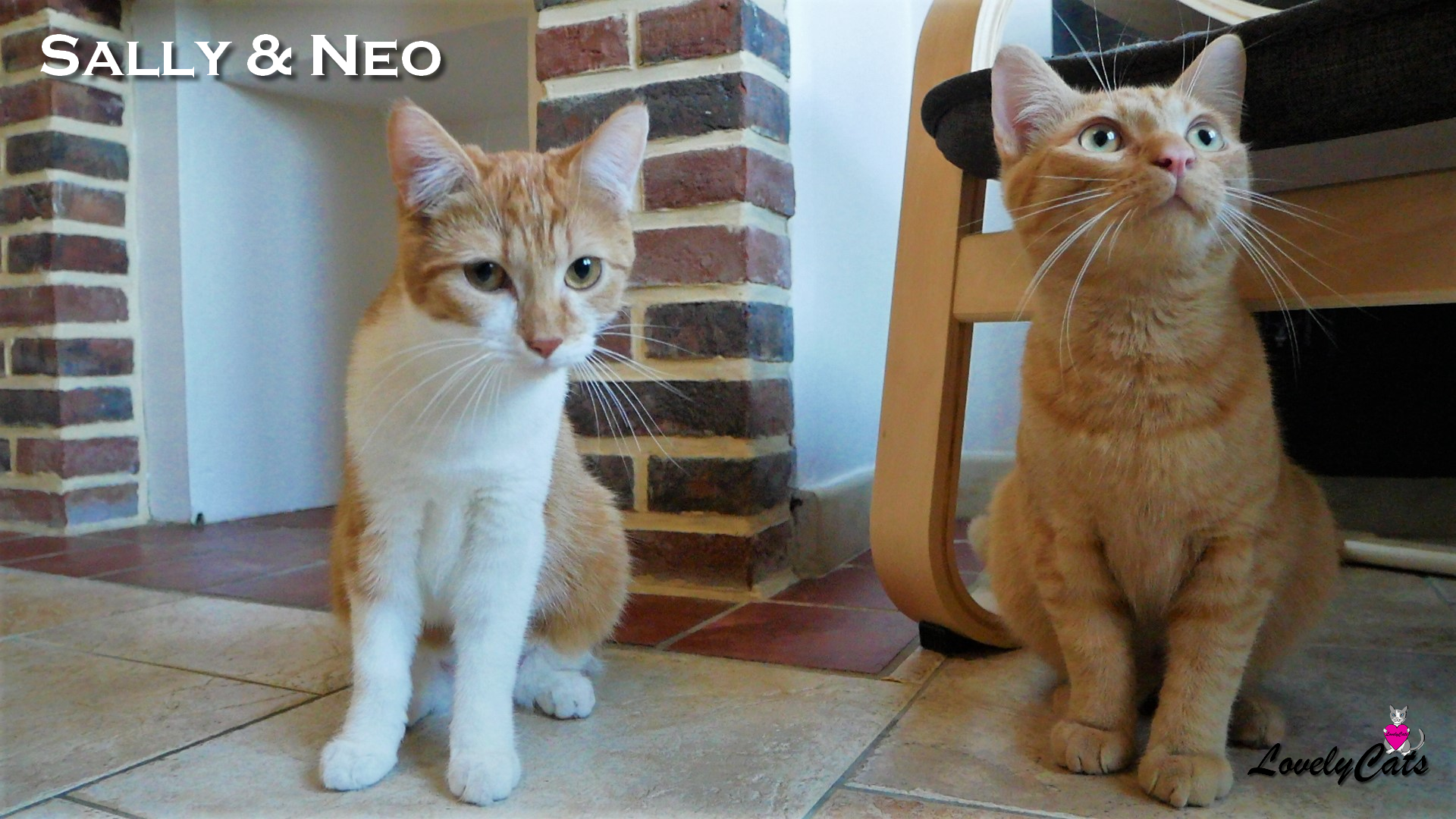 Neo & Sally