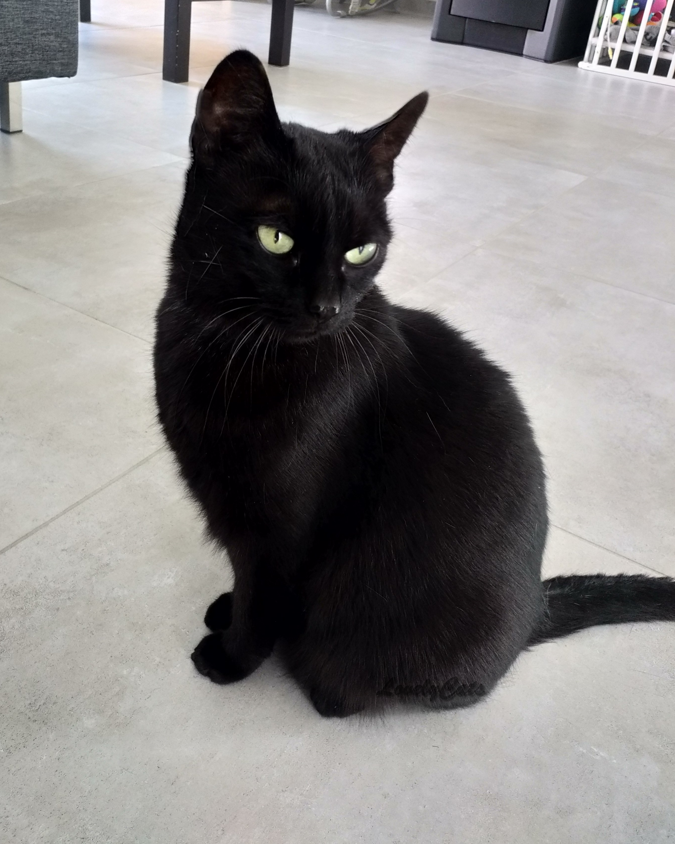 Lily, 9 ans