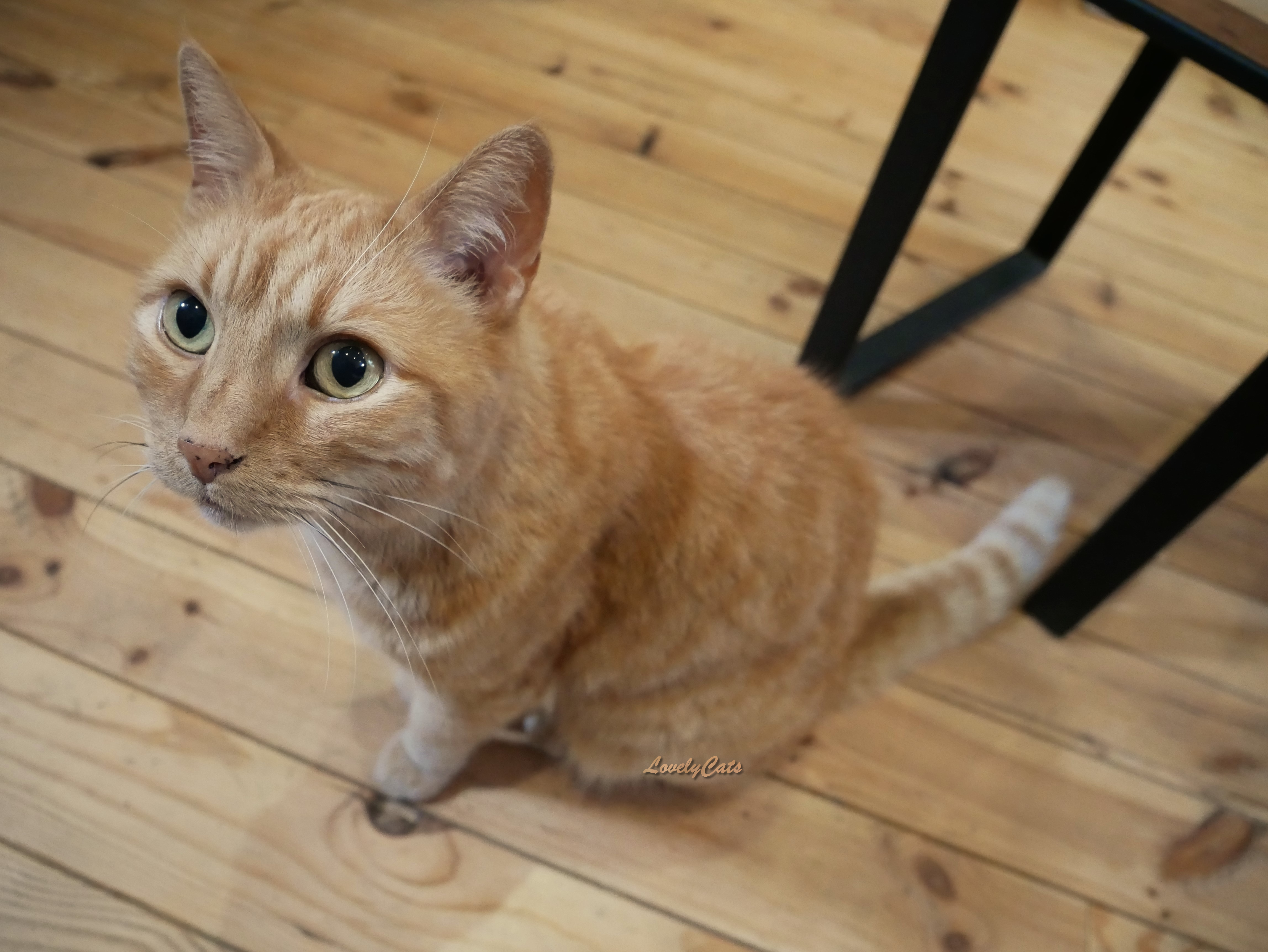 Chroux, 10 ans