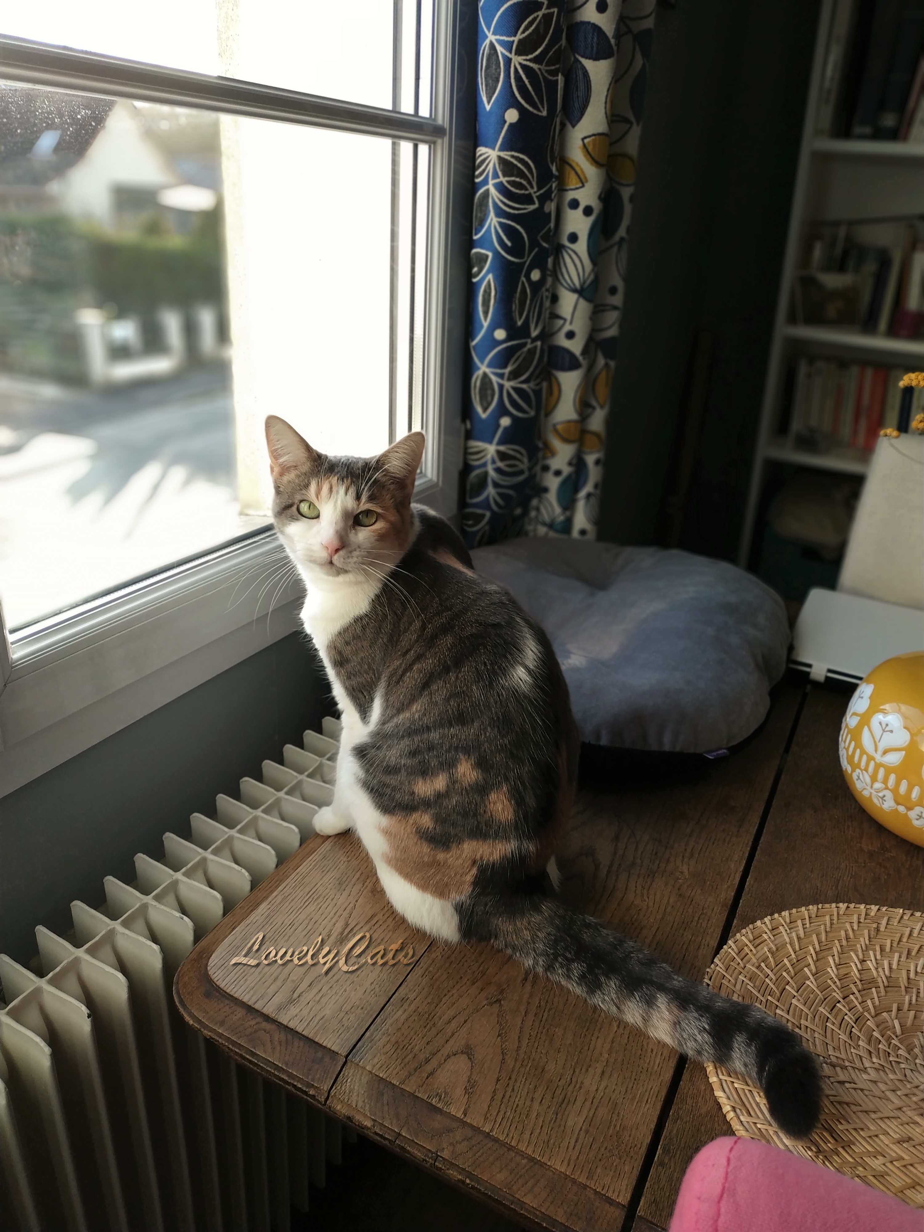 Holly, 5 ans
