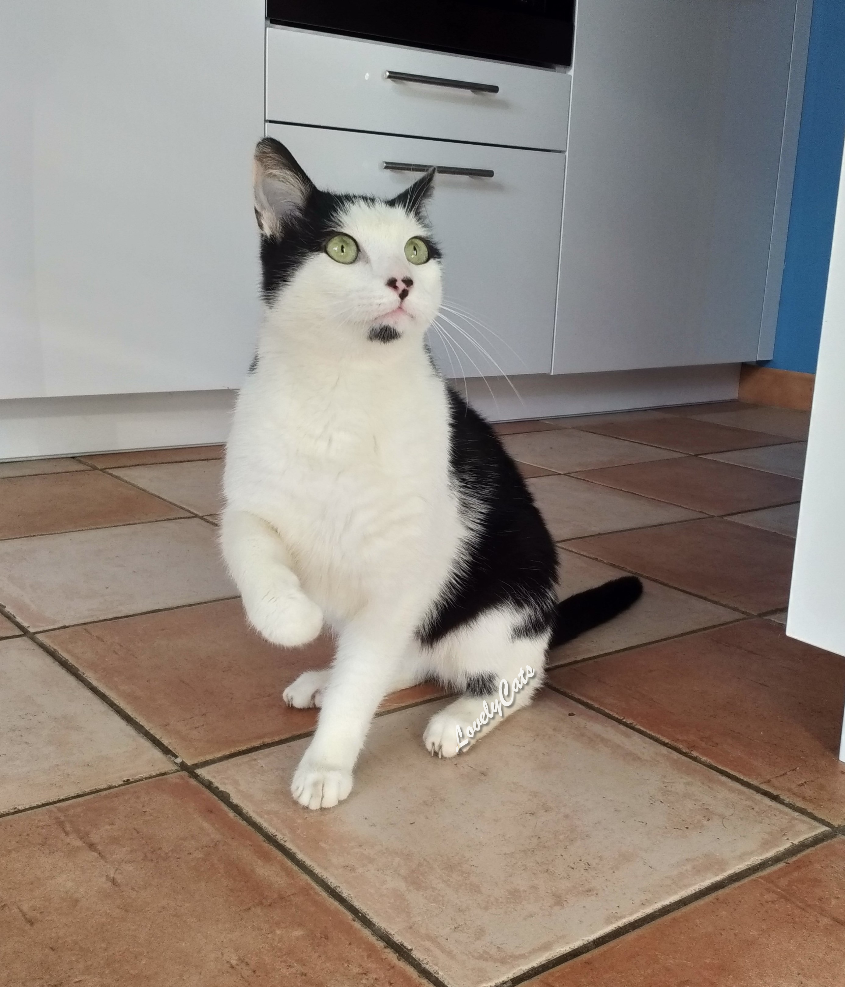 Jim, 4 ans