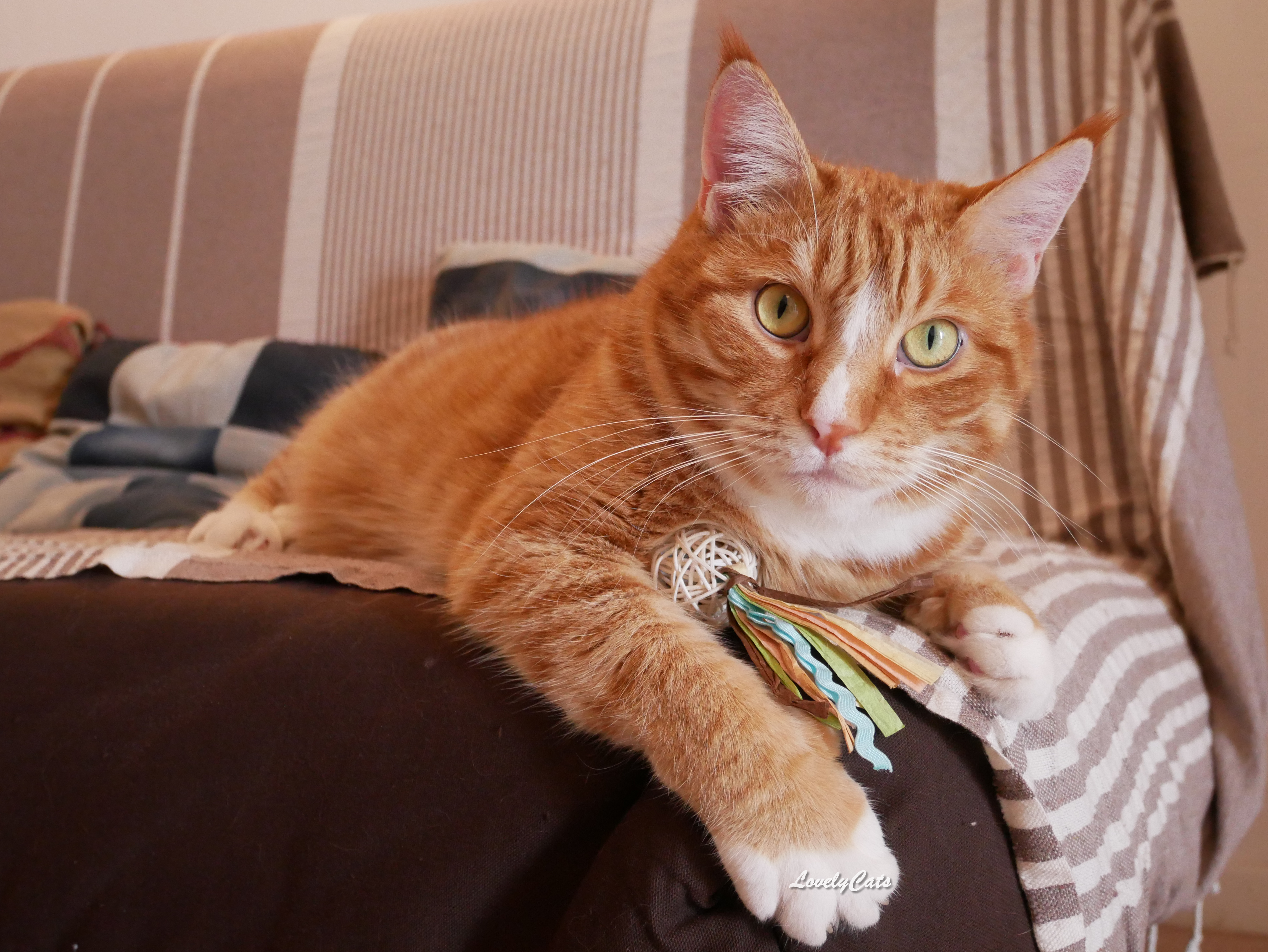 Roucky, 6 ans