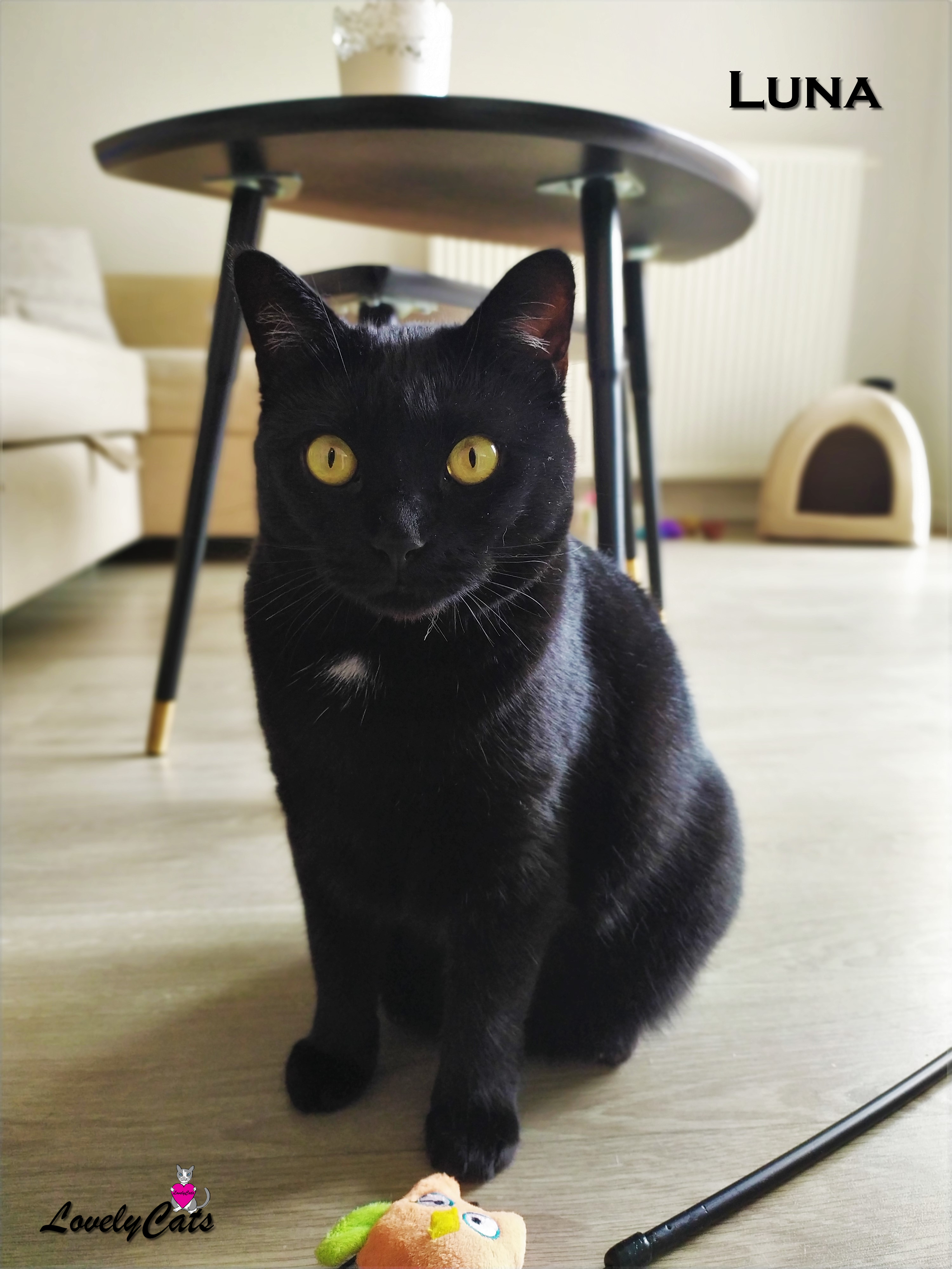 Luna