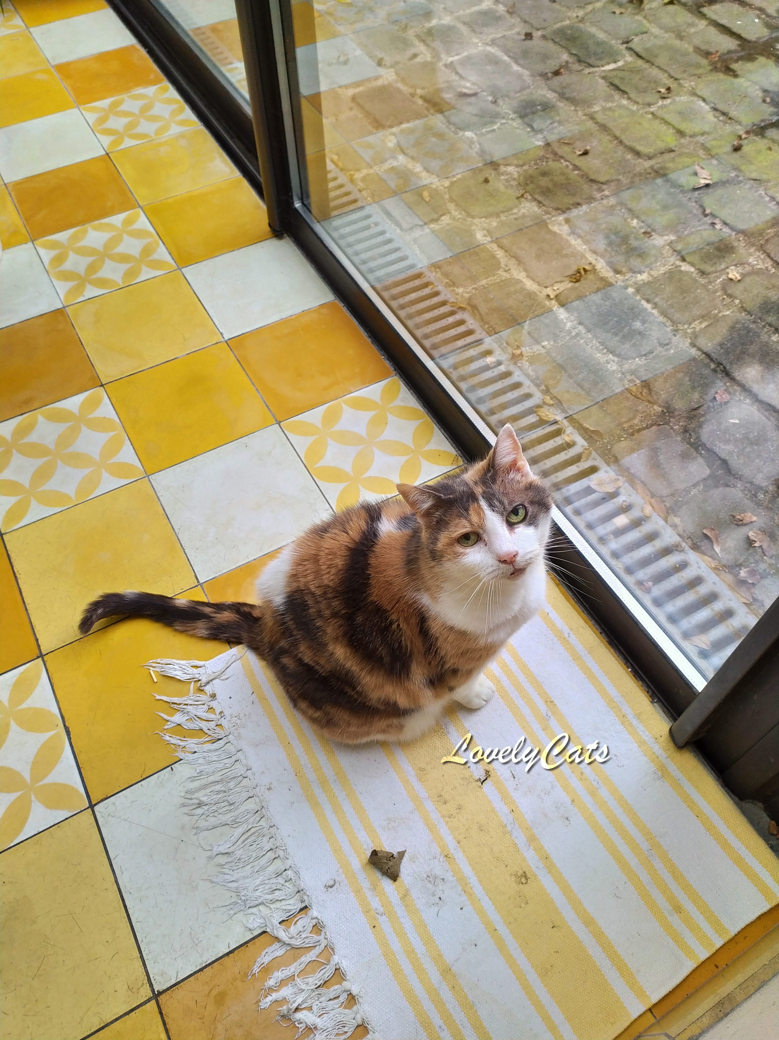Mistie, 16 ans