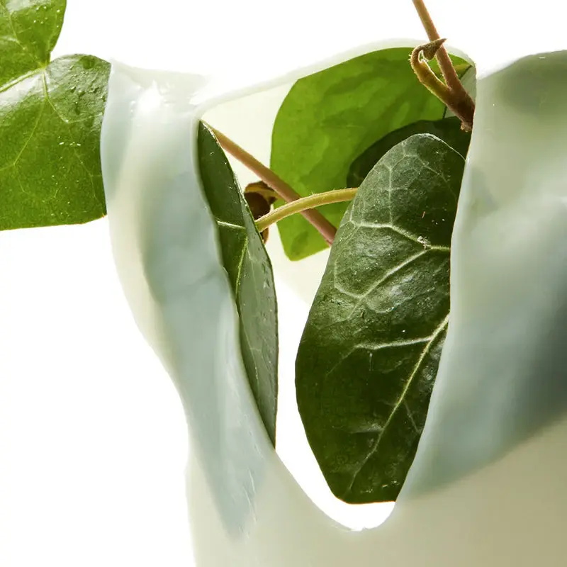 Miniature : Masque visage ANUA Heartleaf 70 avec ingrédients naturels (feuilles de cœurs) mis en scène.