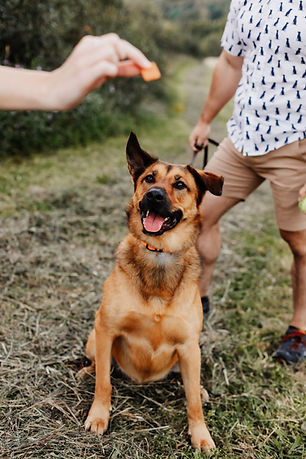 Hallie, Lewis & Jackson-6.jpg