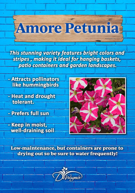 garden-center-feature-sign