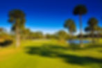 Plantation-Course-E.jpg