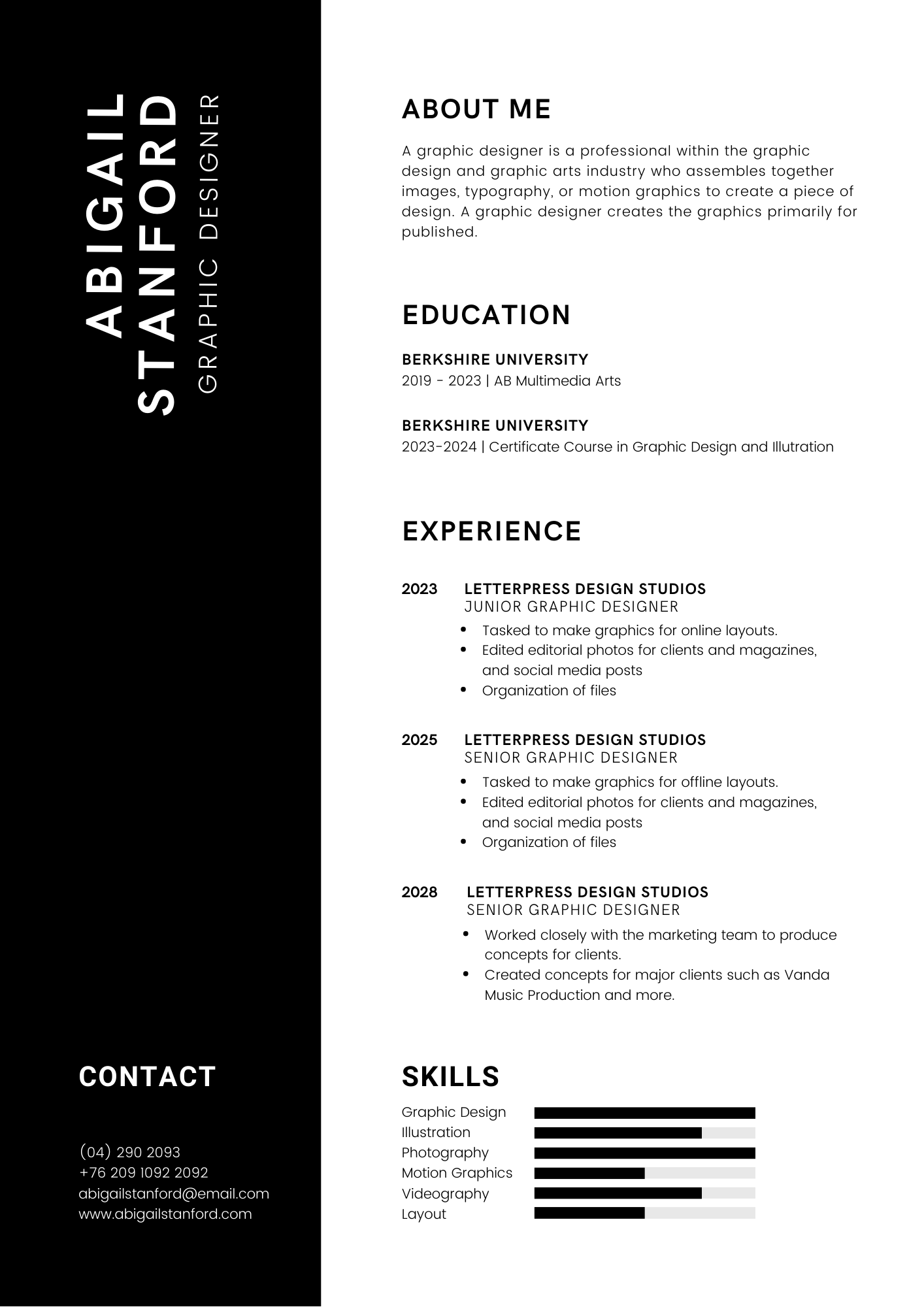 Black Professional Resume