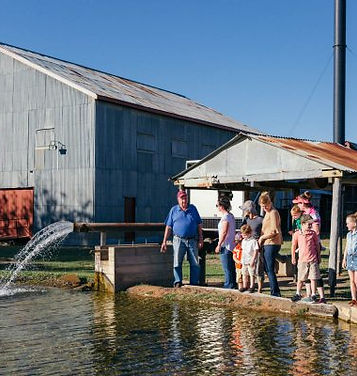 People on tour at the Blackall Historic Woolscour.