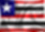 bandeira do maranhao.jfif