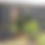 Thumbnail: Palisade Fence Cladding