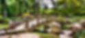 garden bridge