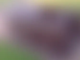 Maintain Cleanliness with Eco Golf Course Litter Bins & Divot Boxes or Eco Double Dustbin with Lid - A Practical Solution for Trash.