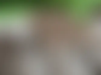 Budget-Friendly Alfresco: Explore the Affordable Elegance of the Budget Eco Picnic Sets.