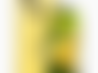 Apple anuncia nuevo color amarillo para el iPhone 14 y el iPhone 14 Plus
