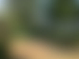 Avoiding the rain - Day 3 - Driving