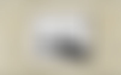 les publications de Rogojin