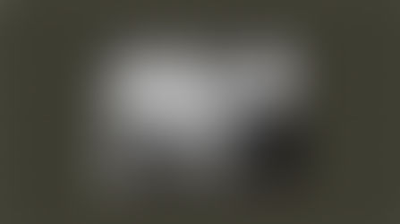 les publications de Rogojin