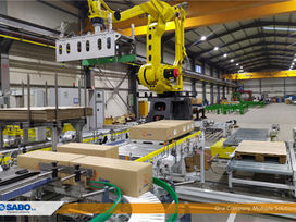 New Robotic Palletizing project for 3alfa!