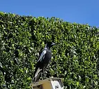 Home & Garden Maintenance