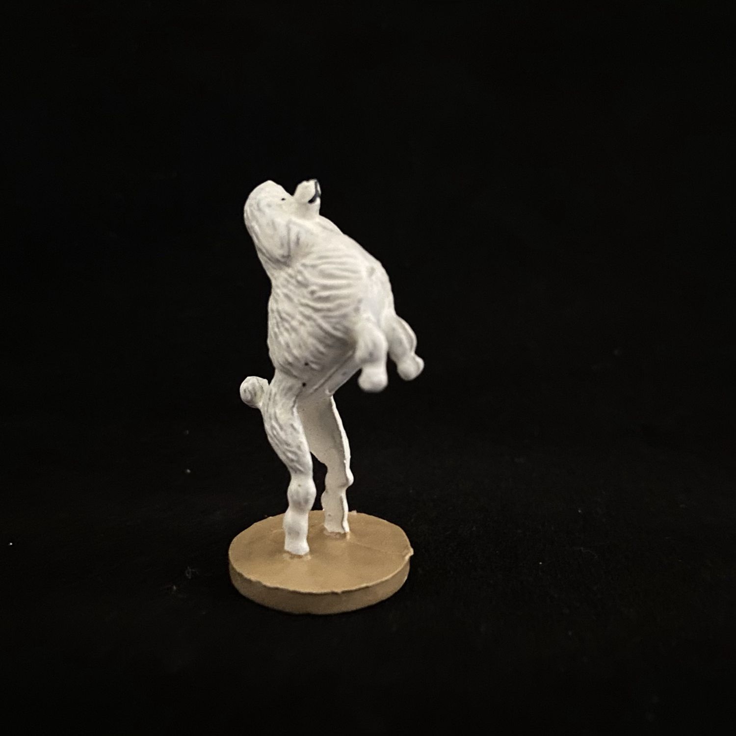 C.23 Performing Poodle